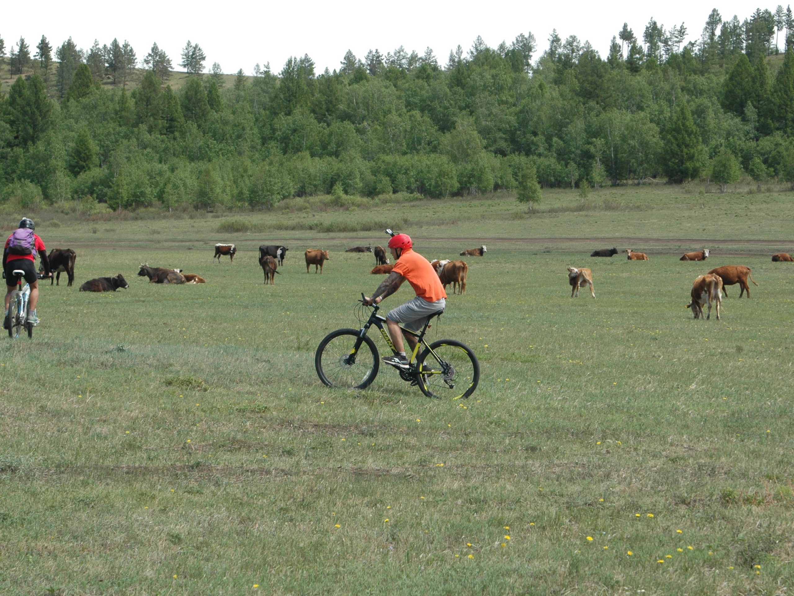 Khangai Mountain Traverse, Mongolia