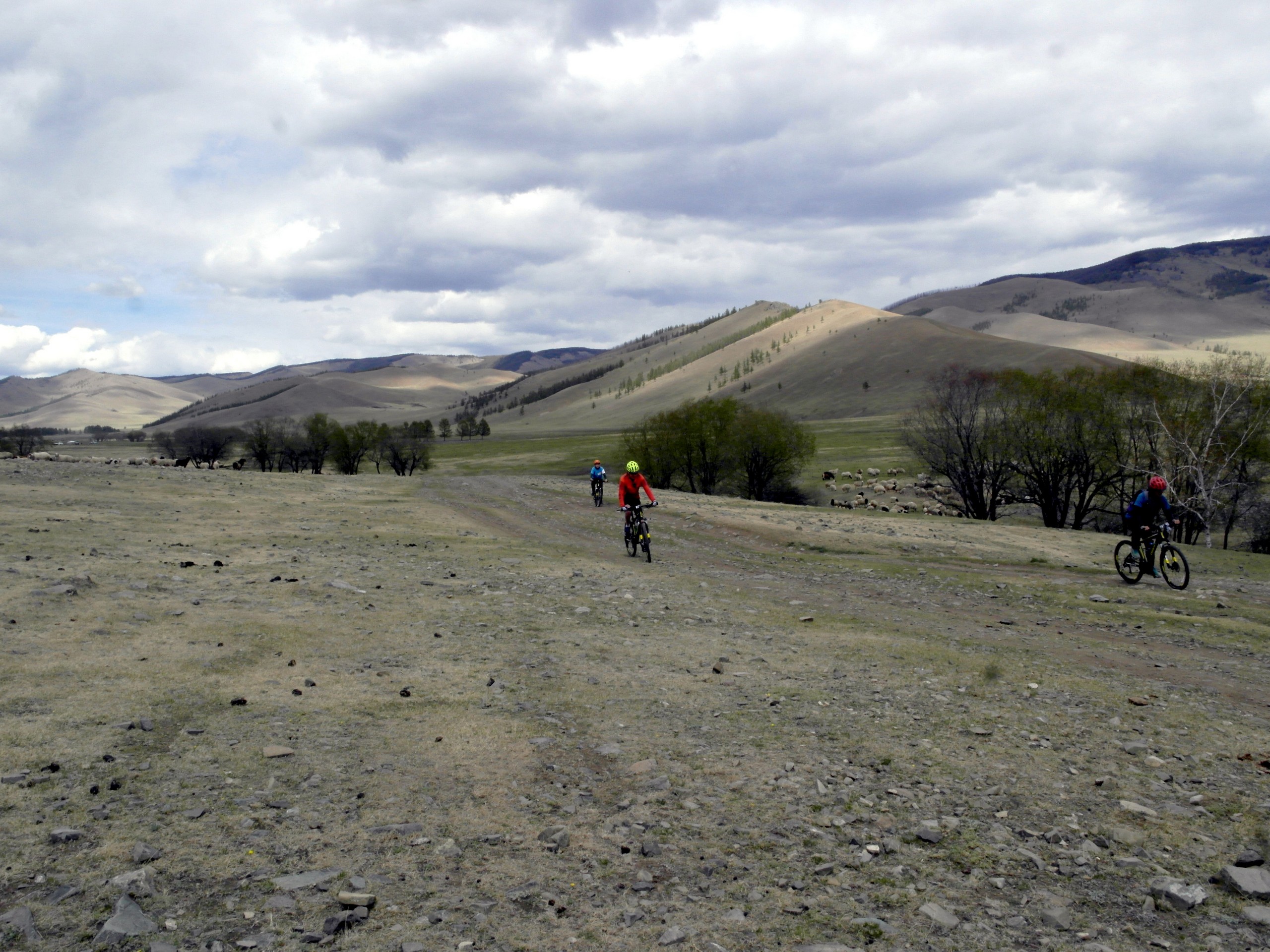 Khangai Mountain Traverse, Mongolia