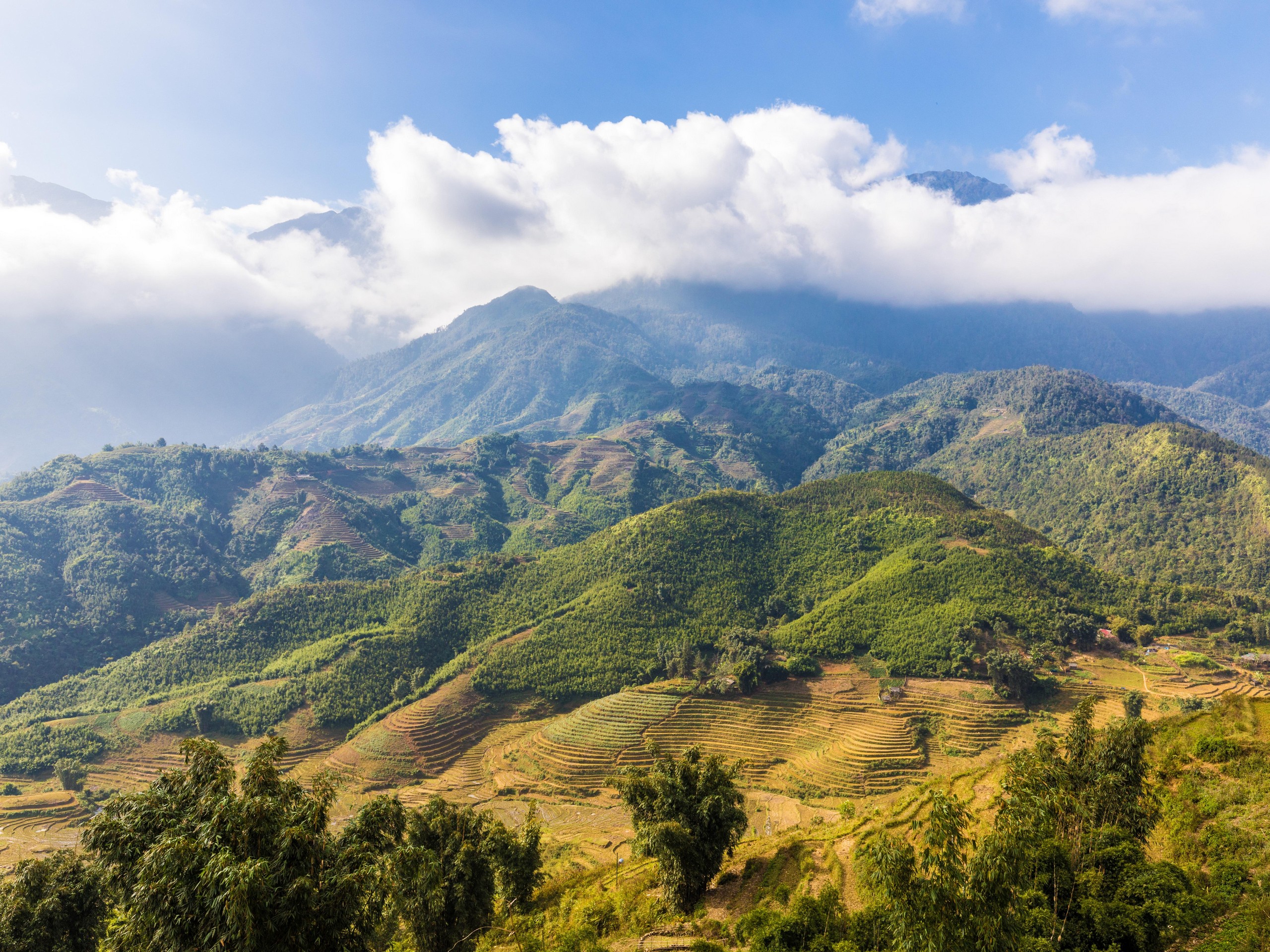 Northern Vietnam mountains