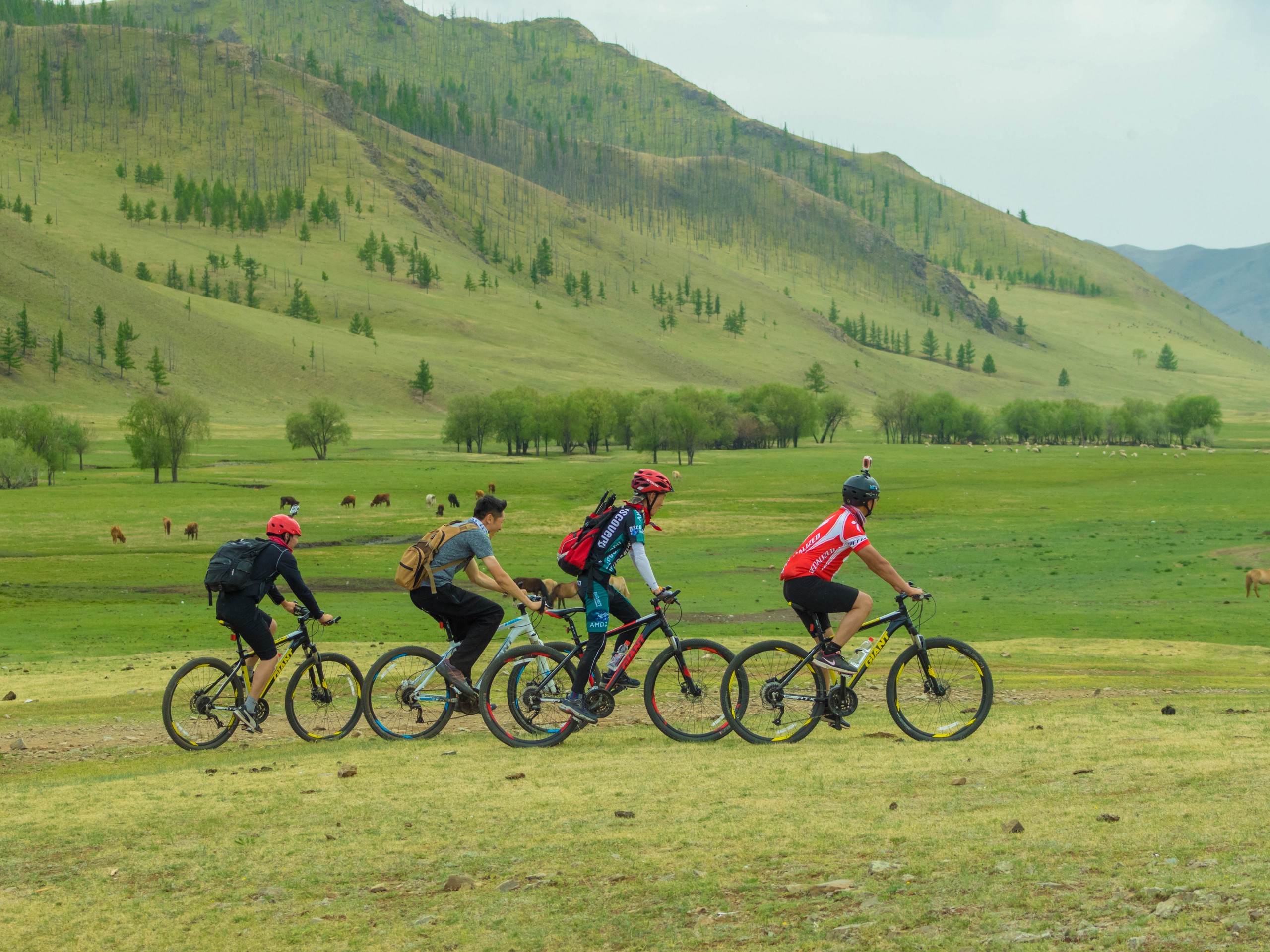 Khangai Mountain Traverse, Mongolia