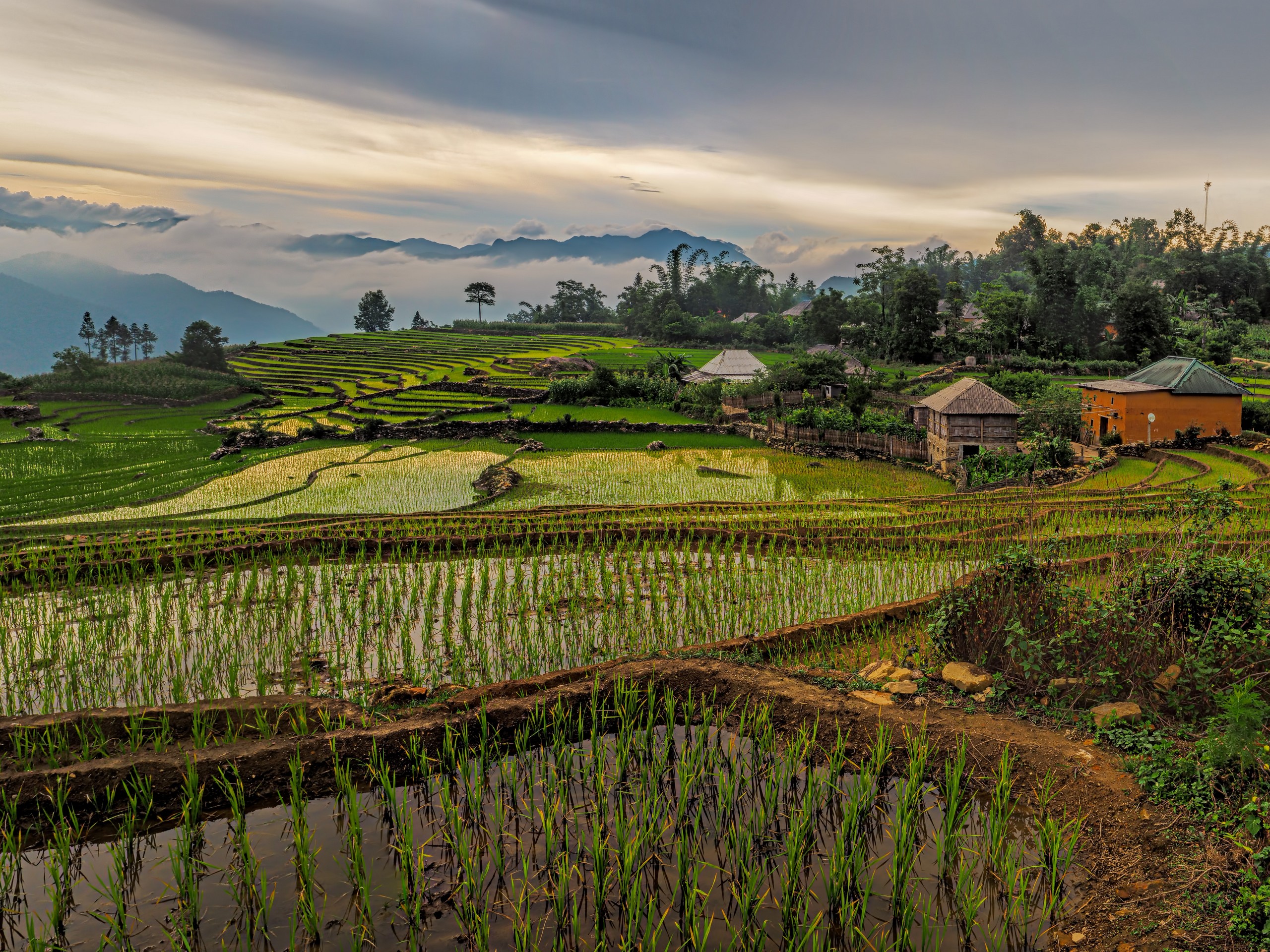 Rice terraces in the Northern Vietnam