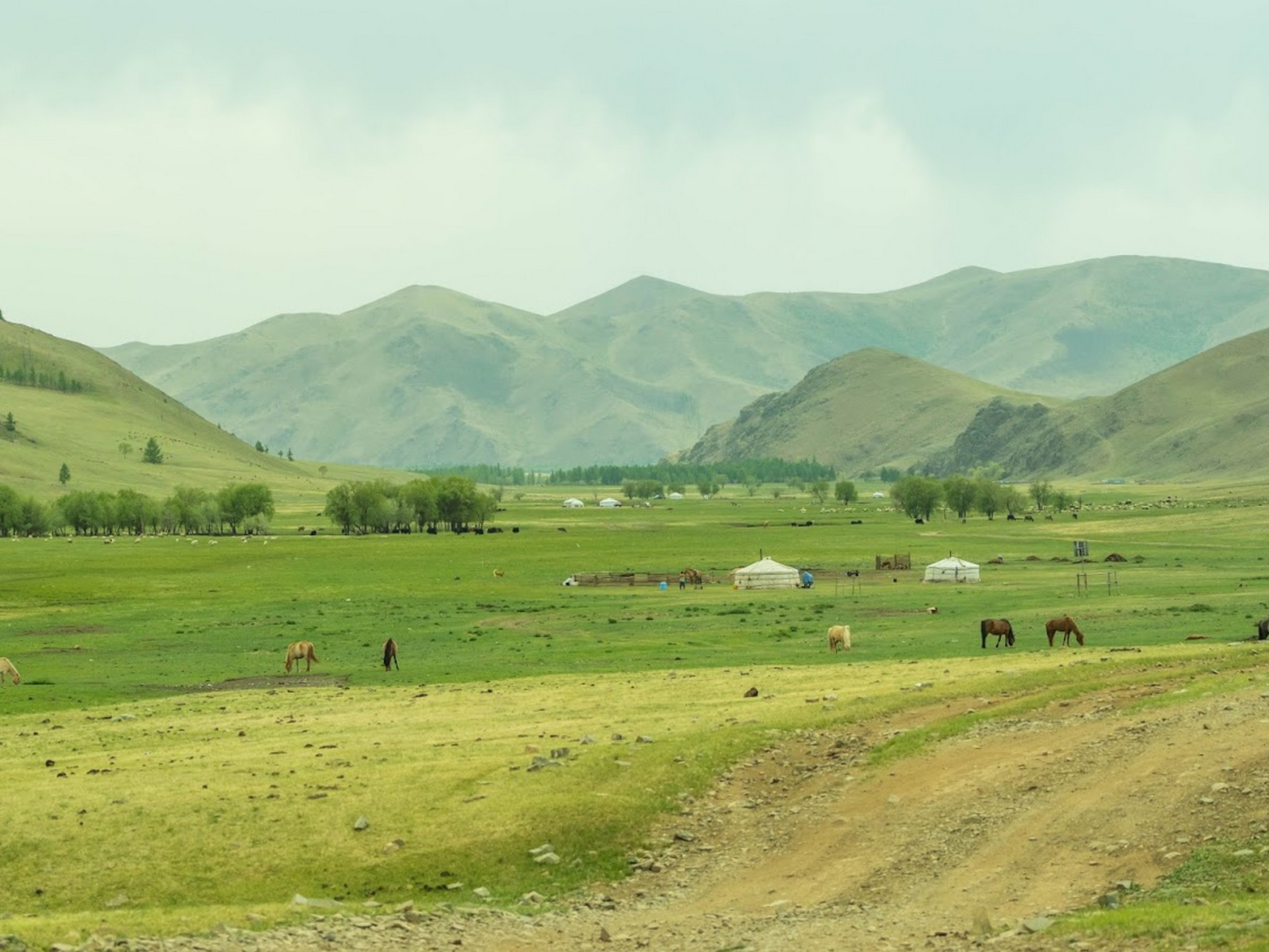 Khangai Mountain Traverse, Mongolia