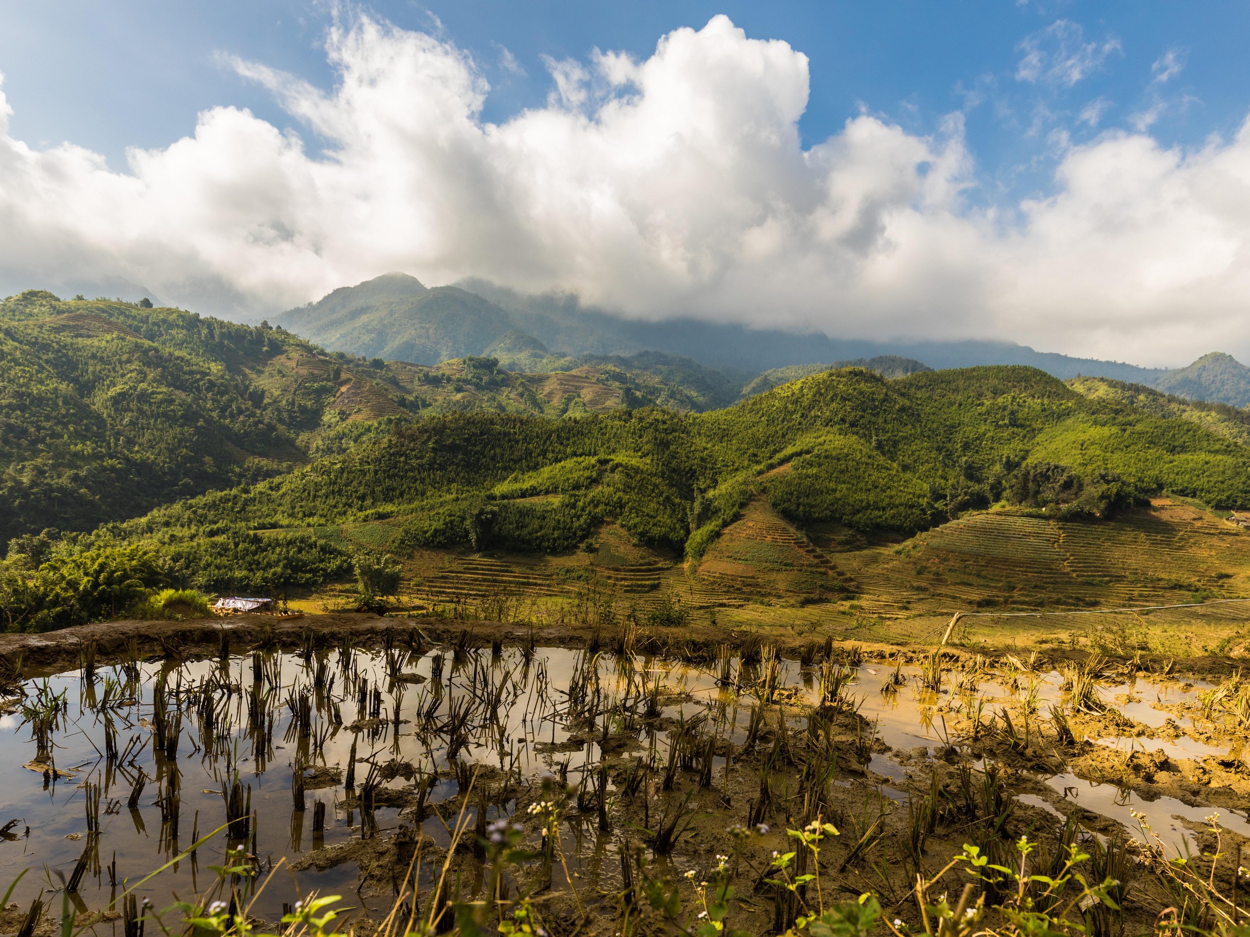 Sapa valley in Northern Vietnam