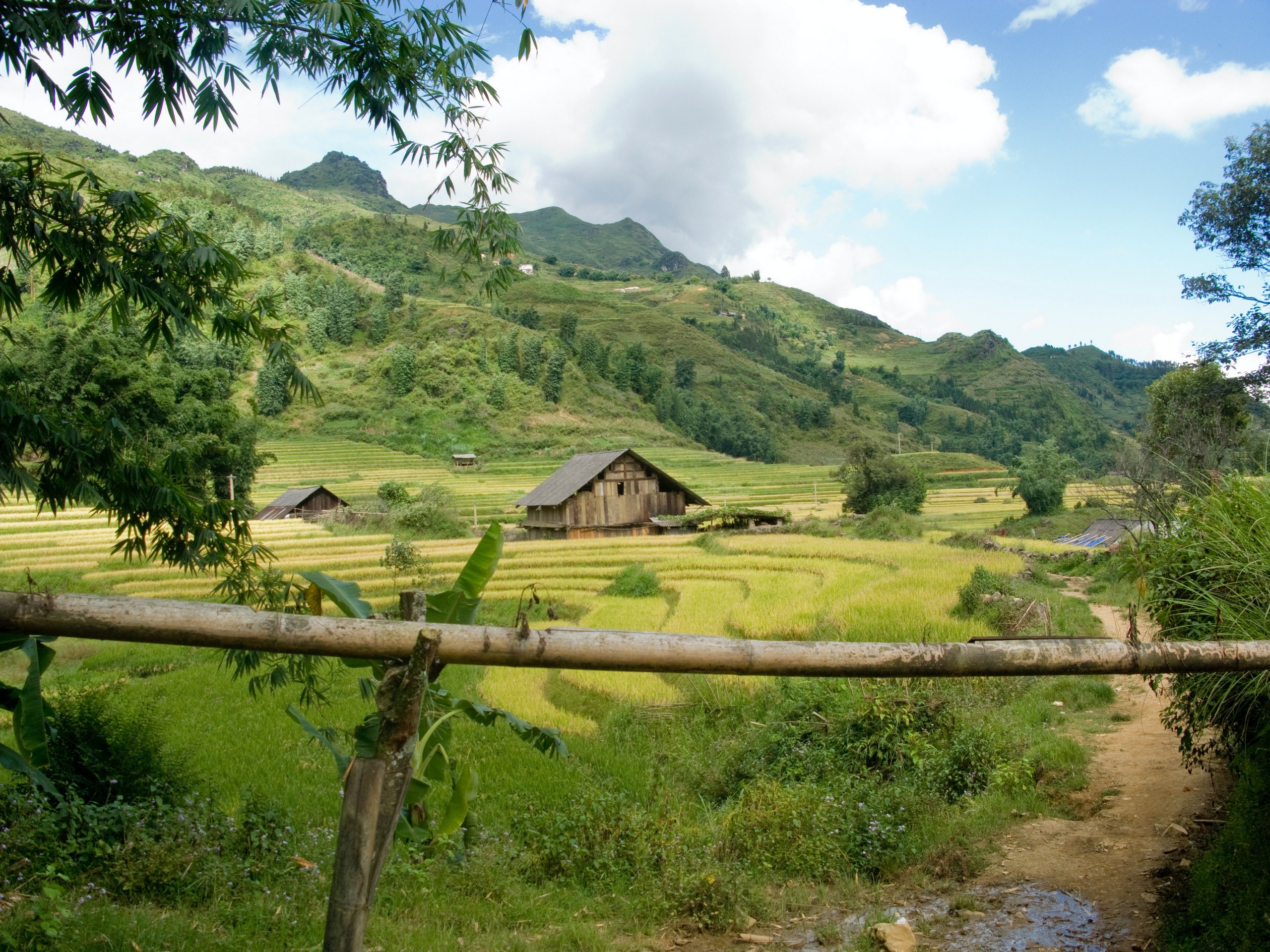 Vietnam's countryside