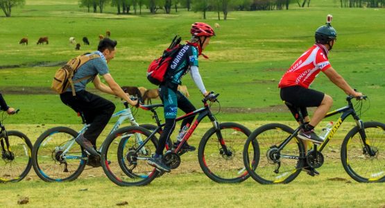 Khangai Mountain Traverse by MTB