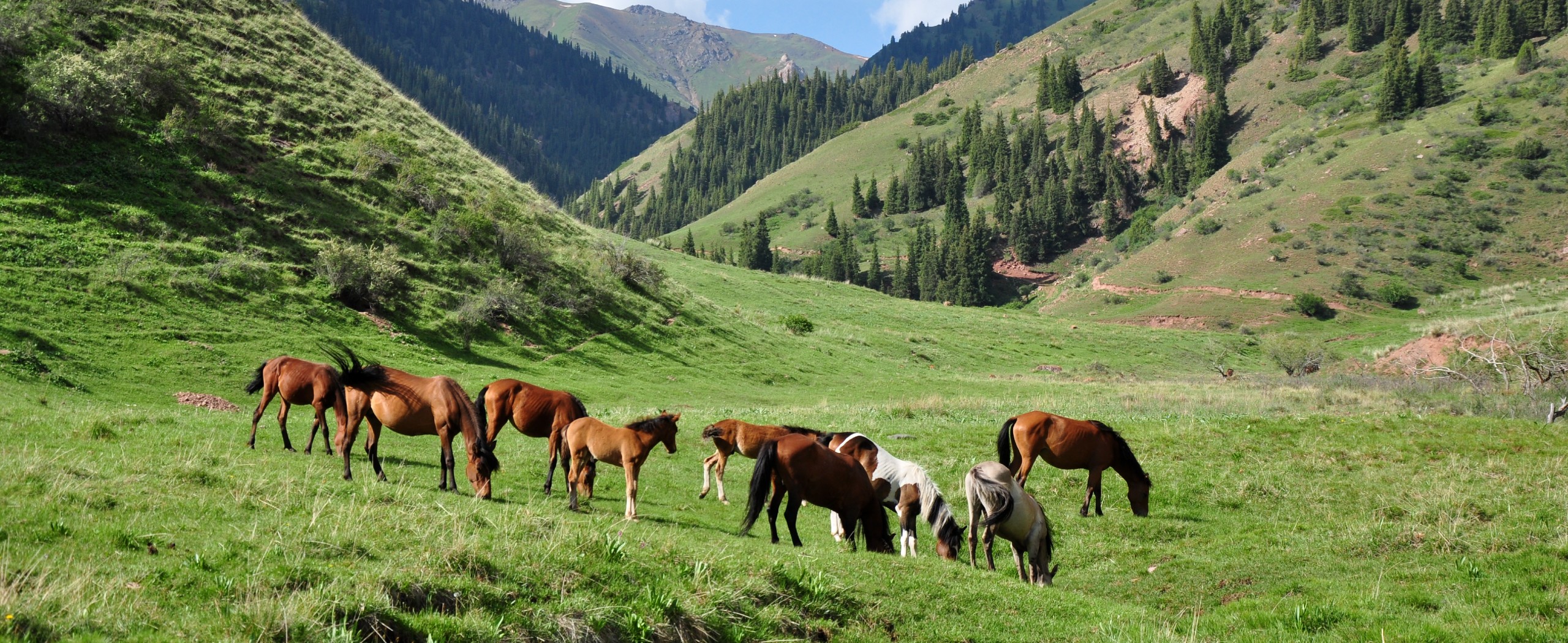 8-Day Kyrgyzstan Cycling Tour