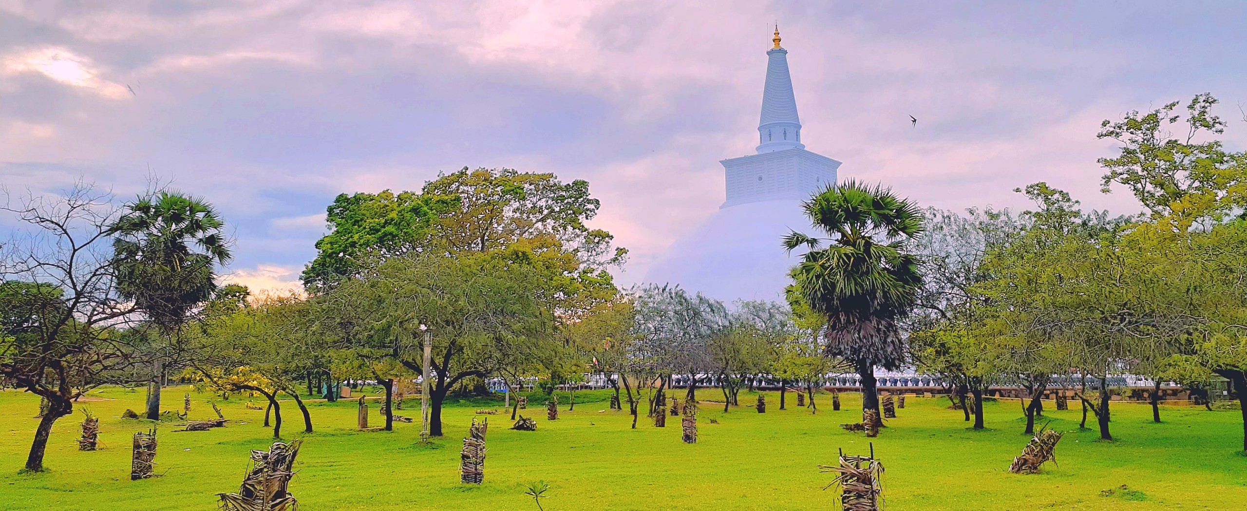 Sri Lankan Dreams Tour