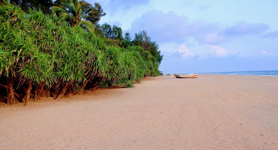 Sri Lanka Wildlife Tour