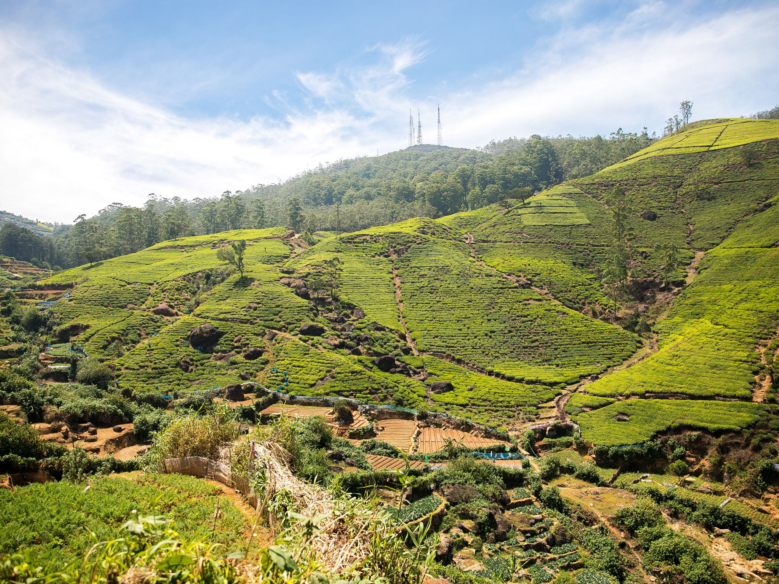 Beautiful countryside in Sri Lanka