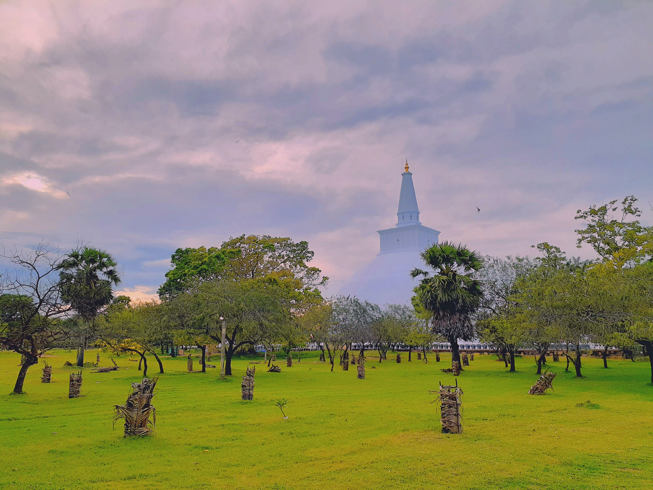 Park in Colombo, Sri Lanka