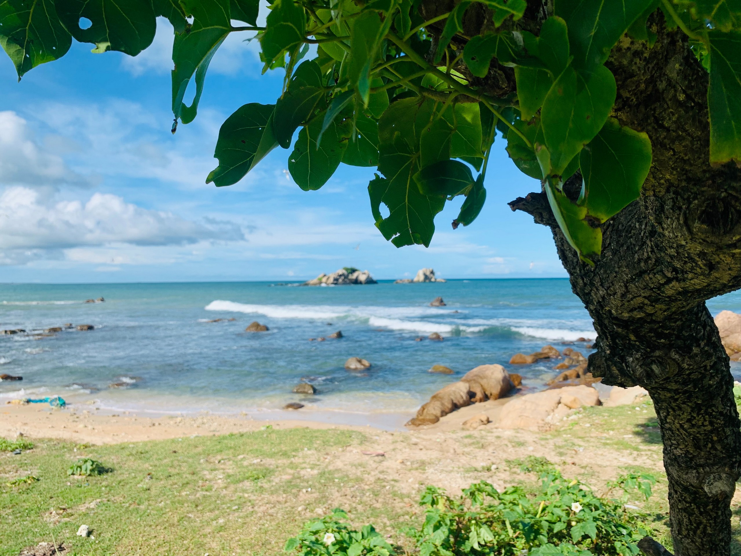 Rocky shores of the Indian Ocean