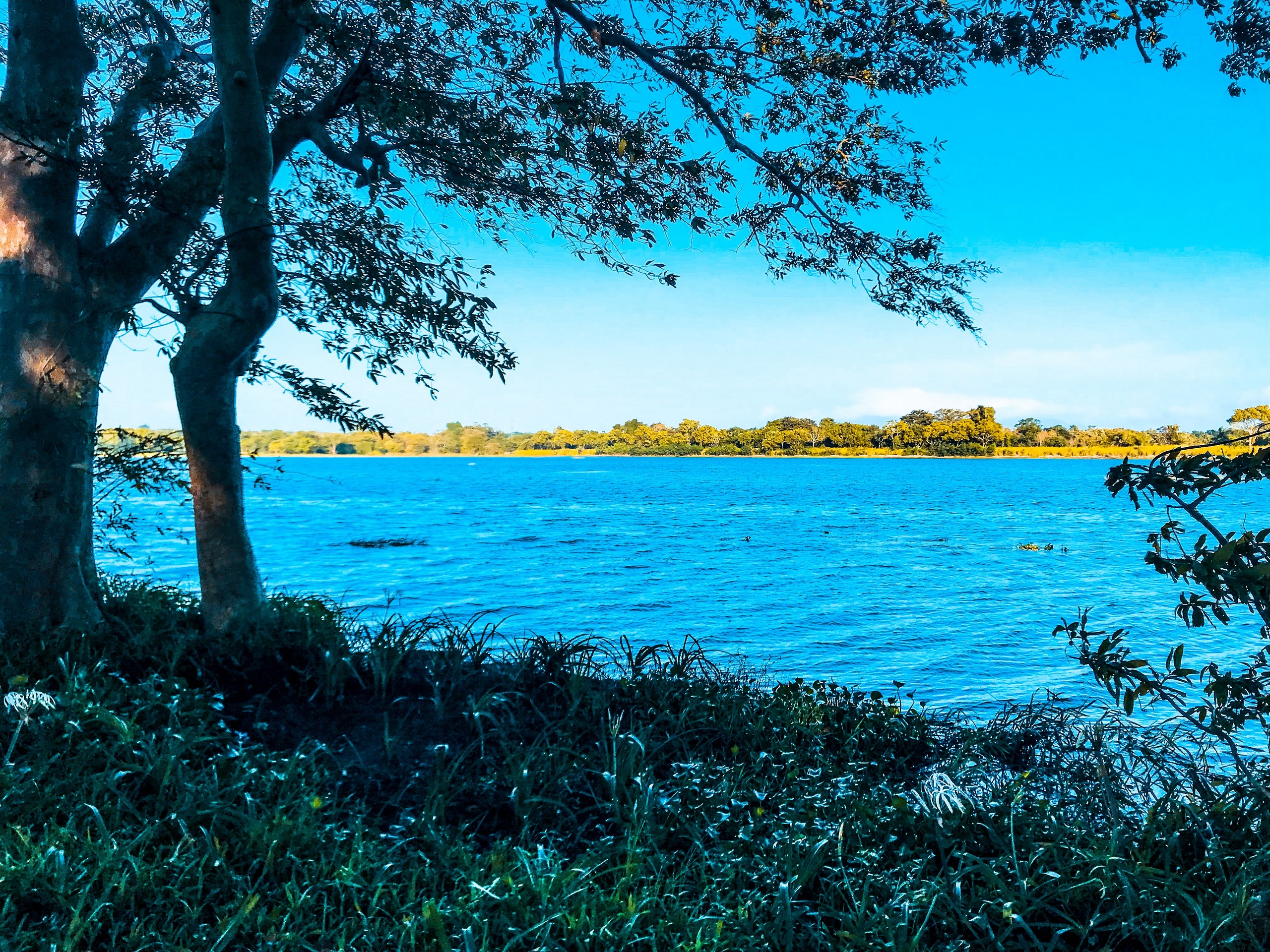 Nature and lake in Sri Lanka