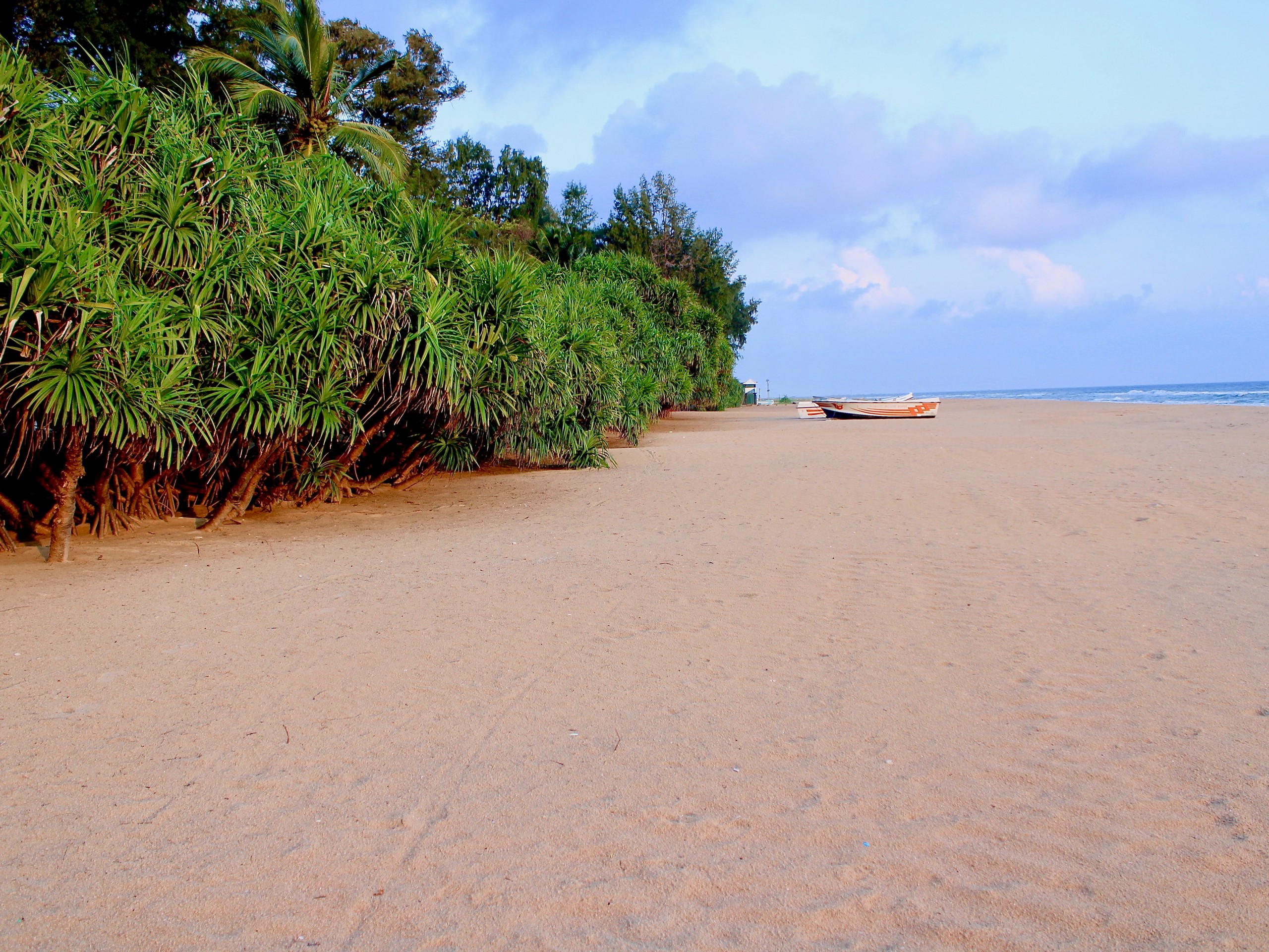 Vast sandy beach in Sri Lanka