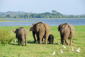 13-Day Sri Lanka Adventure