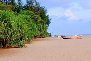 Sri Lanka Wildlife Tour