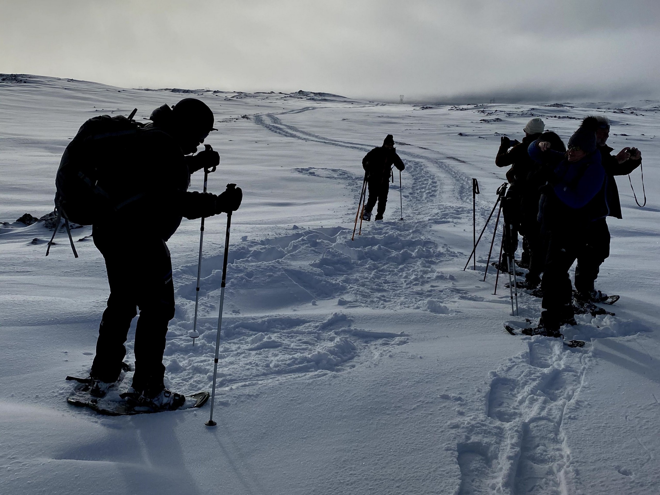 Snowshoeing in Iceland - Photo by Emelia Blöndal