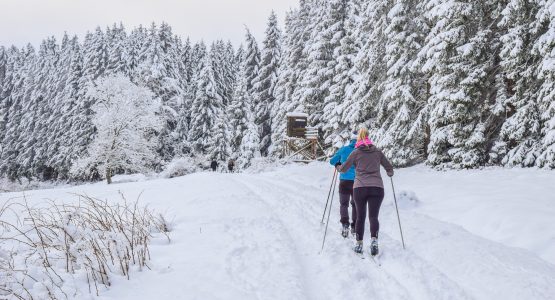 Cross Country Skiing