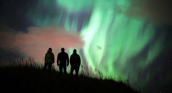 Northern Lights and Icelandic South Coast