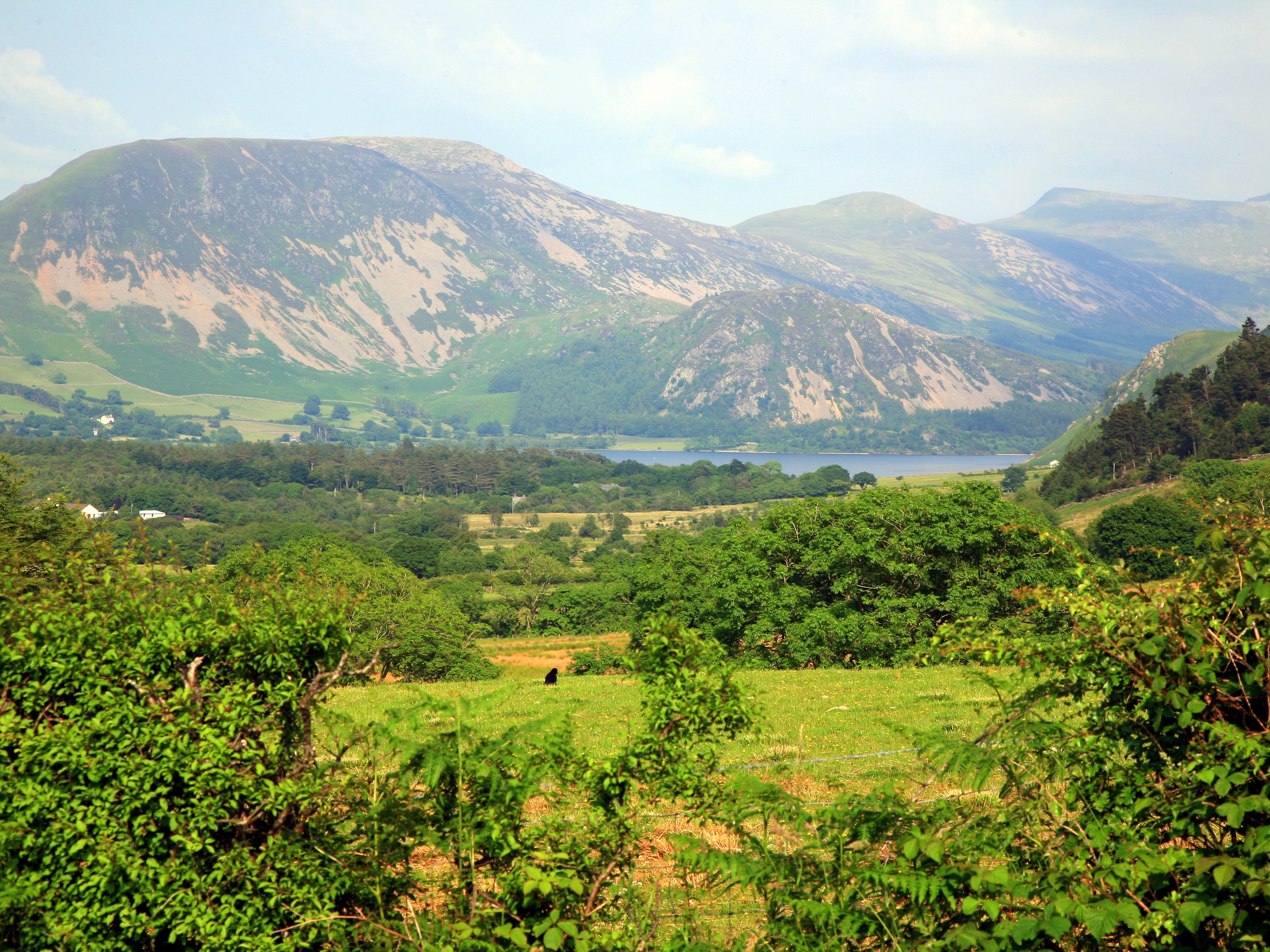 Green pastures in the Northern England (c)John Millen