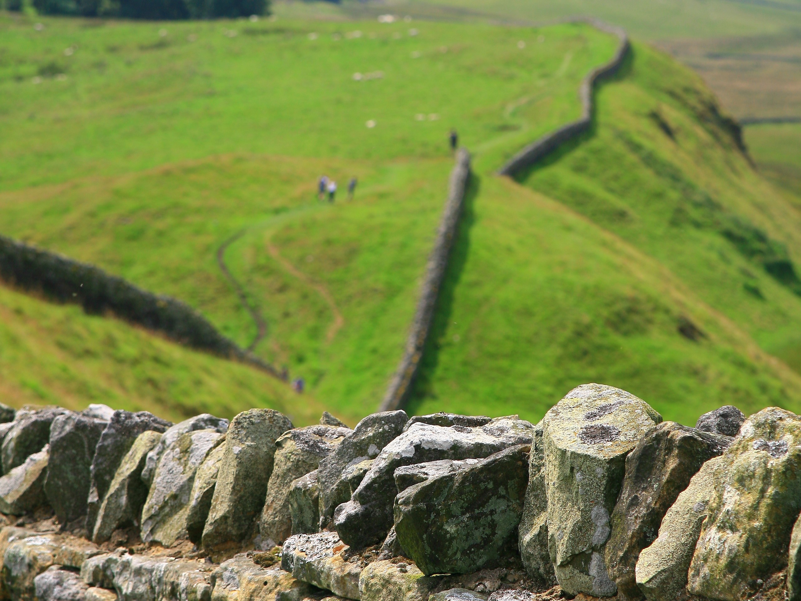 The high wall of the Hadrian's Wall Path