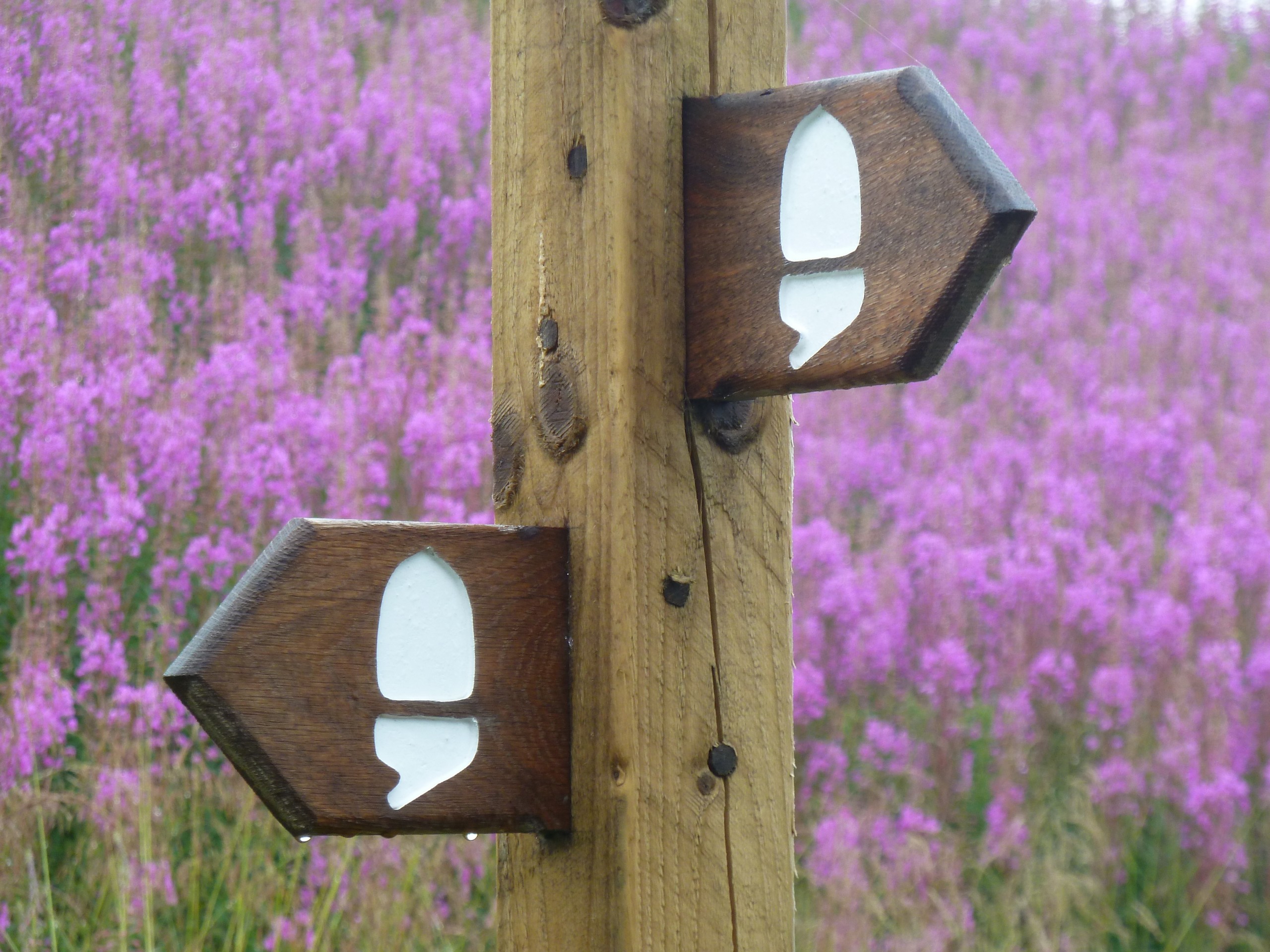 Waymarks along the Hadrian's Wall path