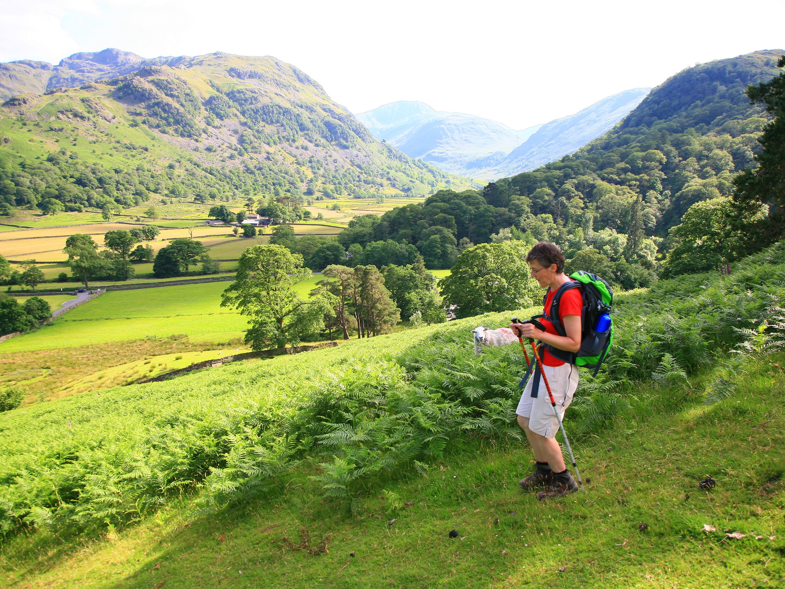 Hiker observing the beautiful views from Coast to Coast trail (c)John Millen