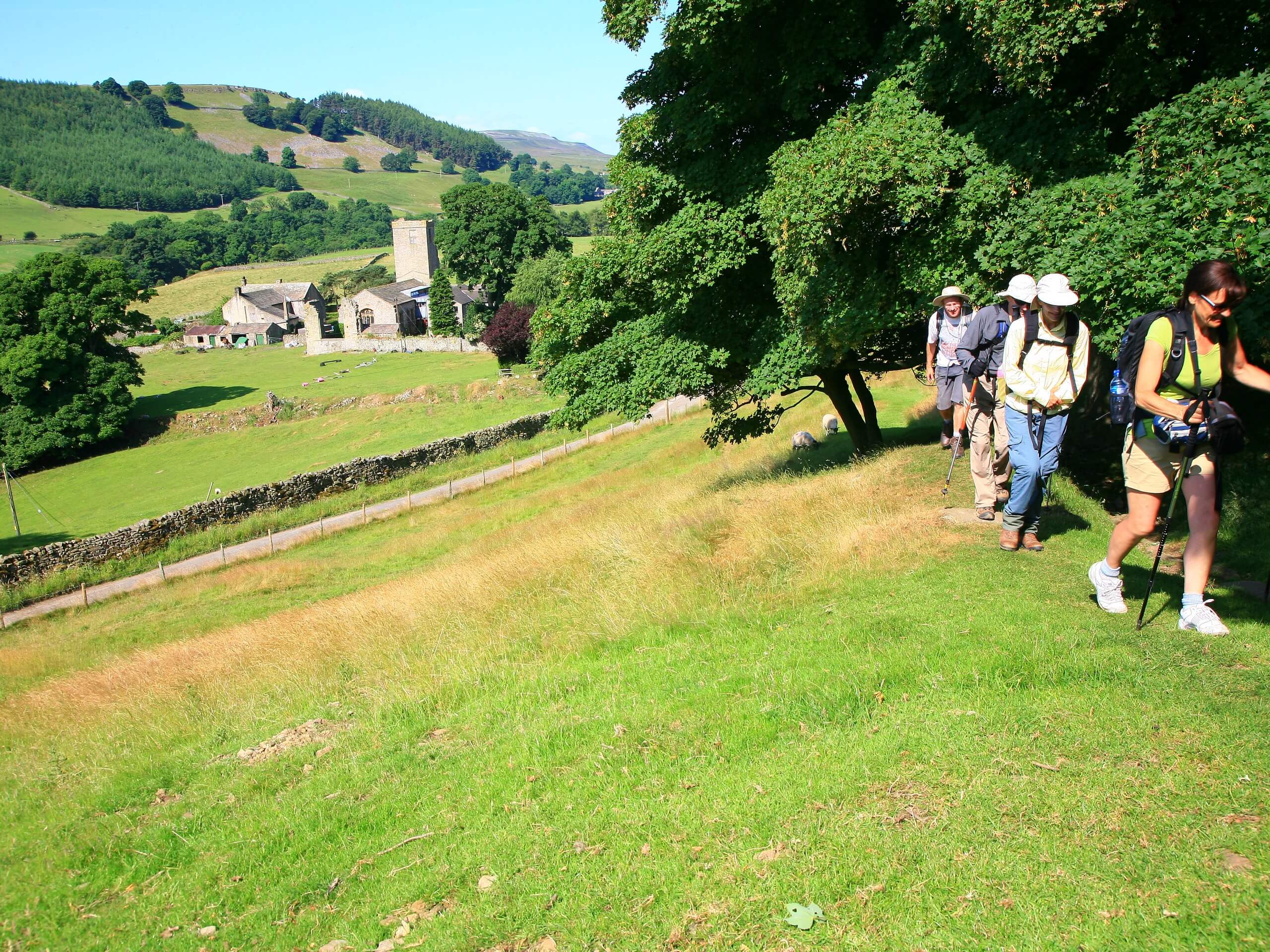 Group of walkers ascending on a walking path of the Coast to Coast trail (c)John Millen