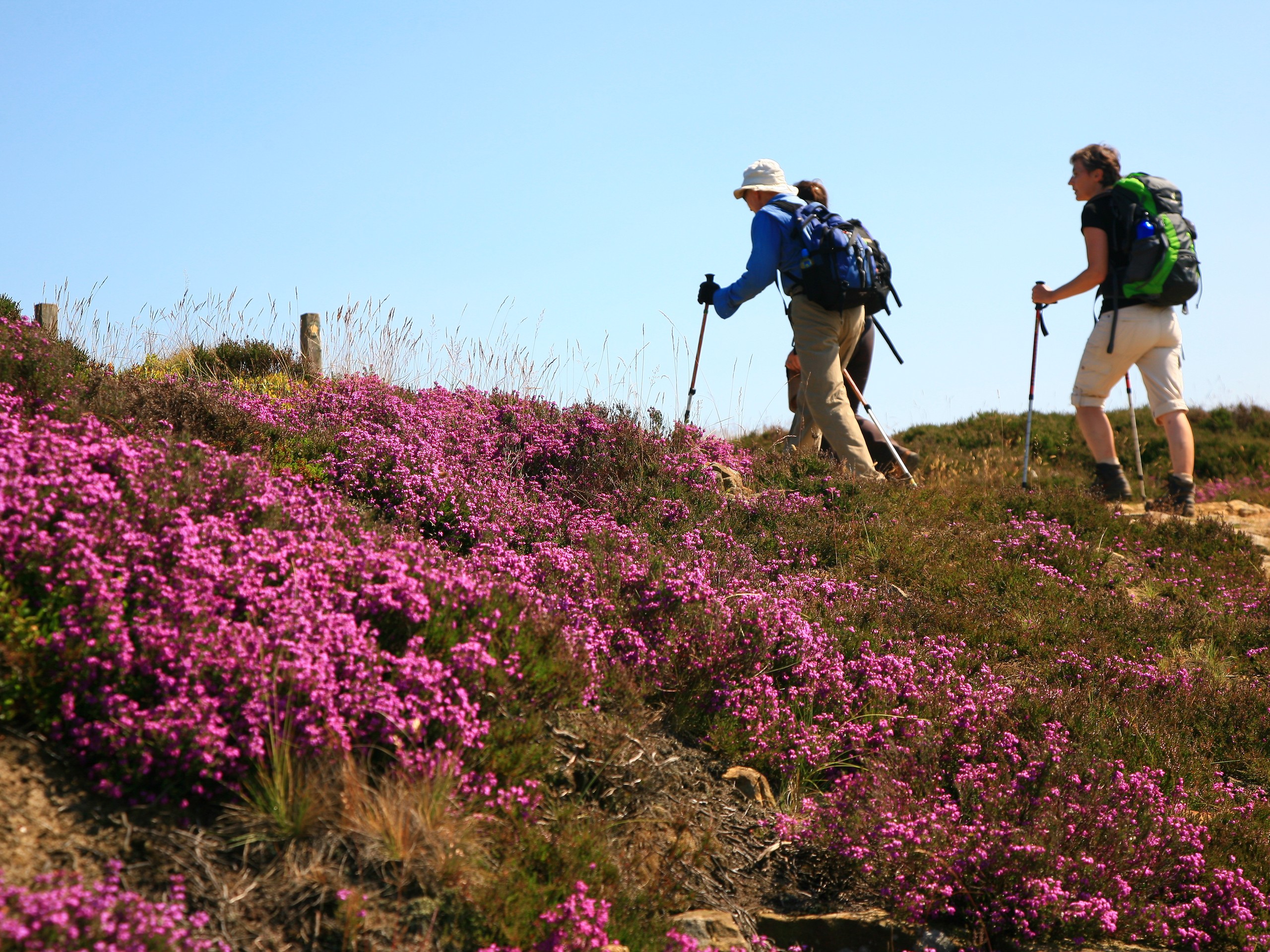 Two hikers and wildflowers in North England (c)John Millen