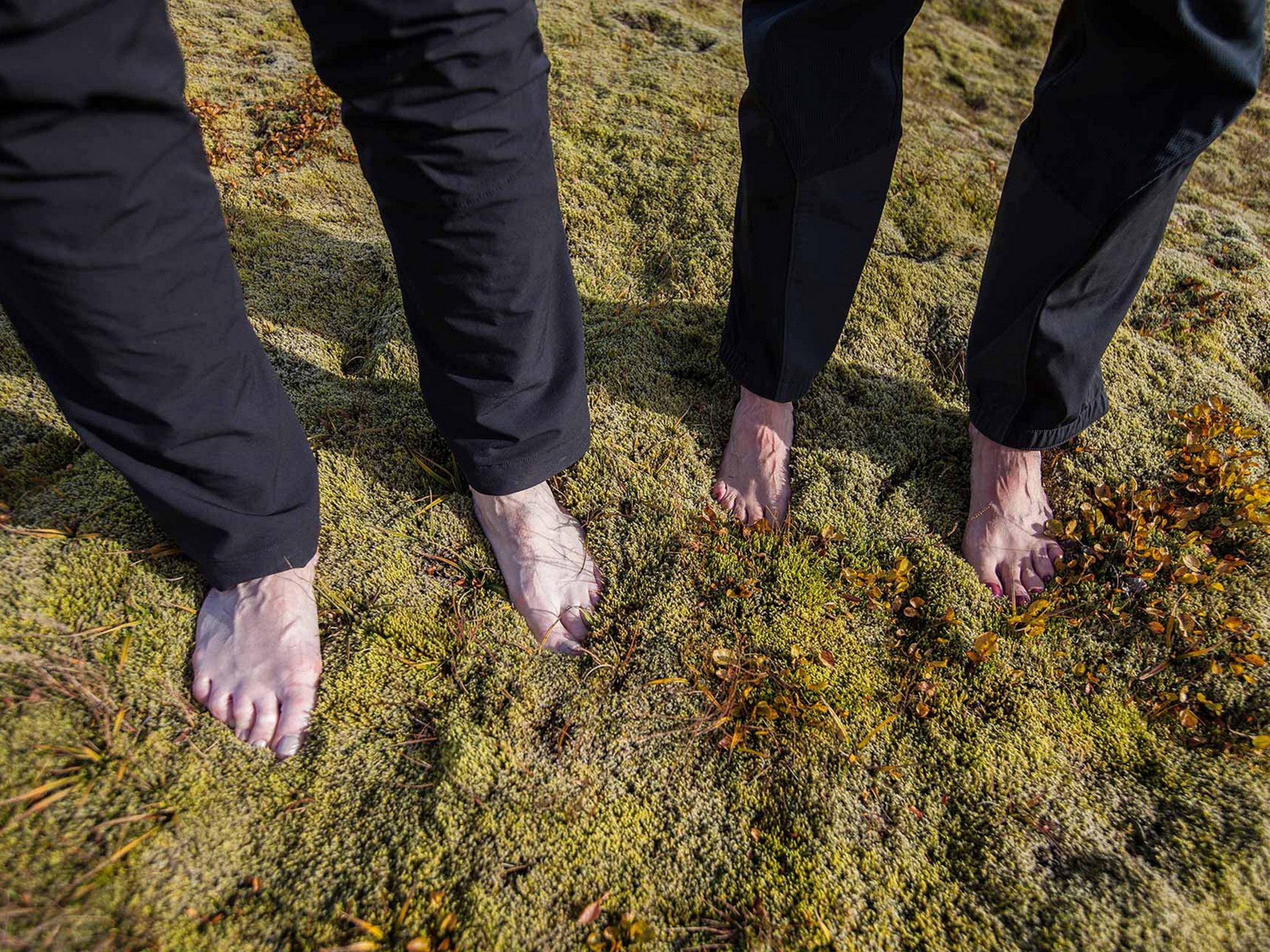 Standing barefeet on moss in Iceland
