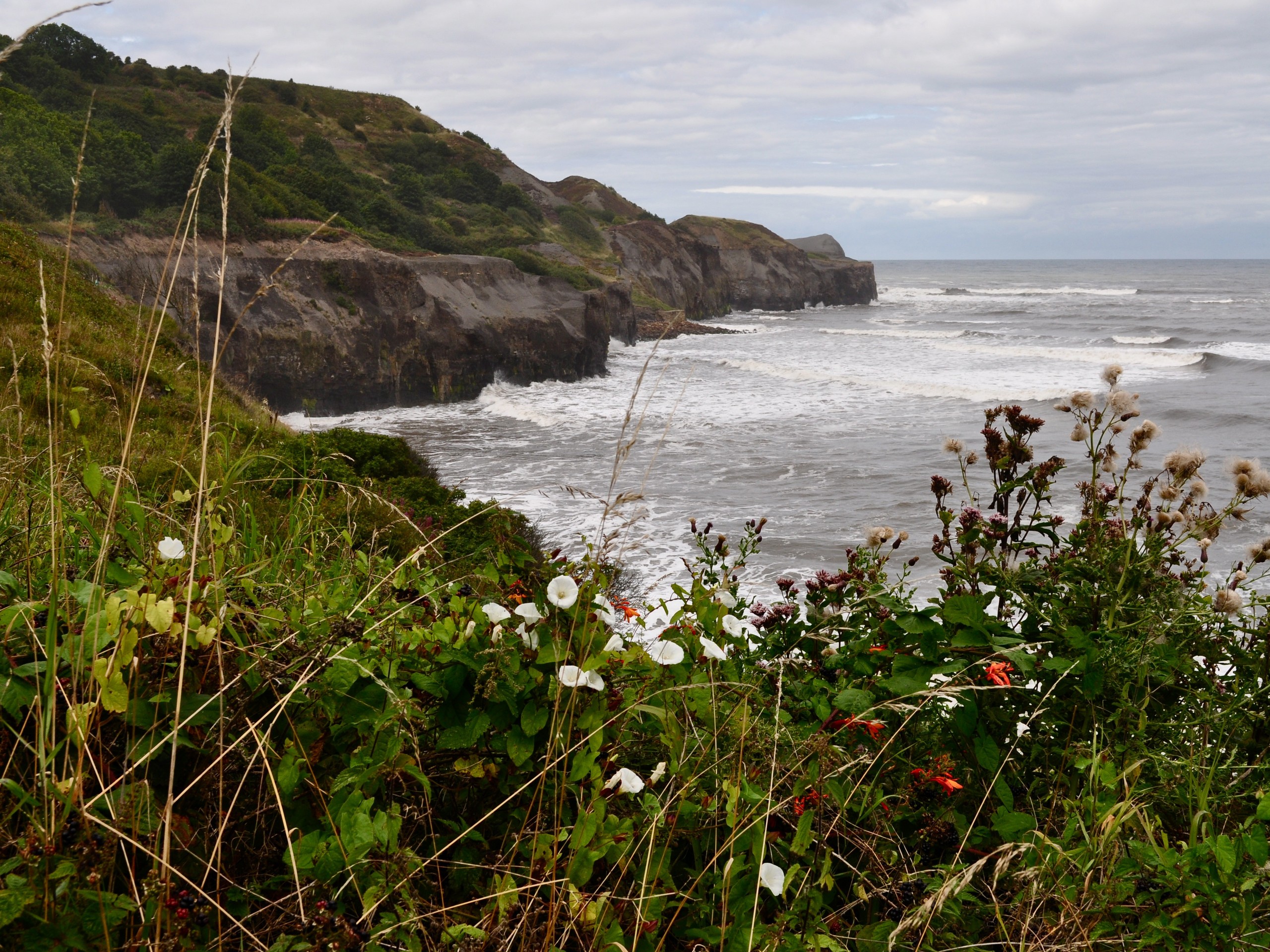 Rocky shores along the Robin's Hood Bay, where the Coast to Coast trail ends