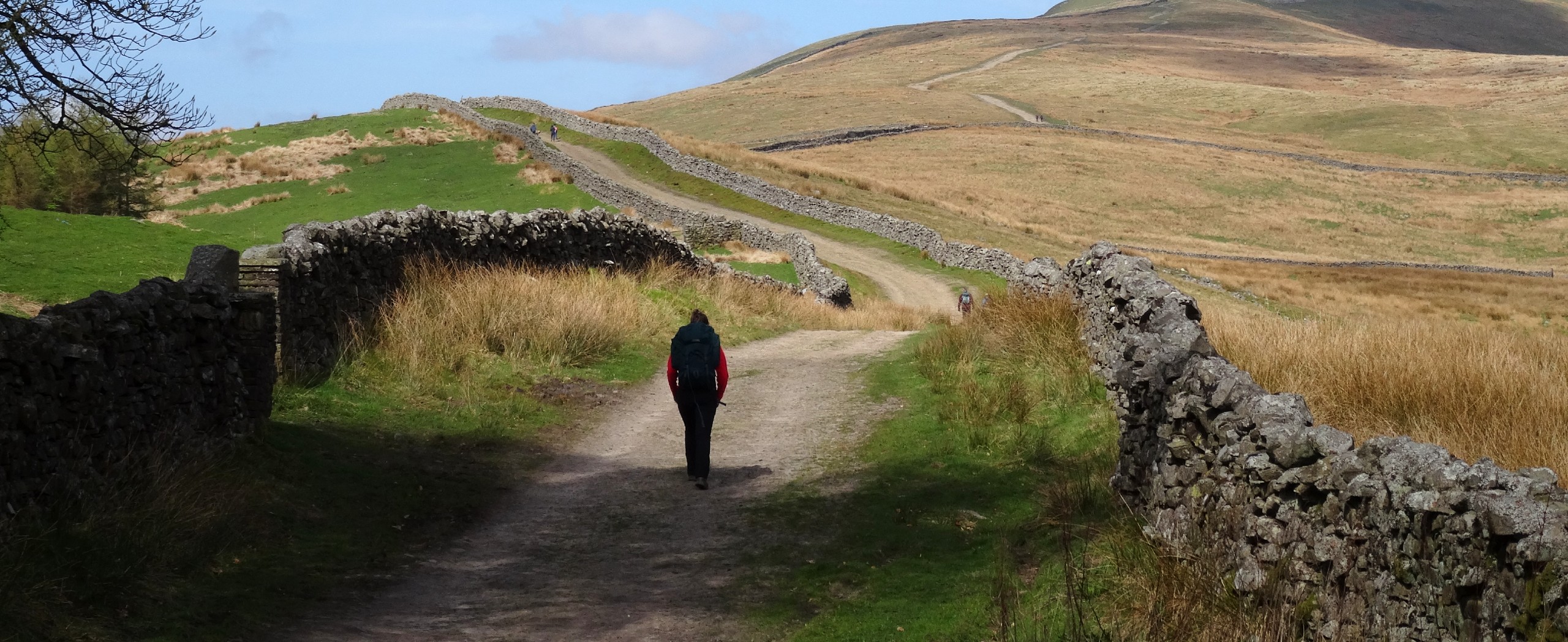 James Herriot Way Walking Tour