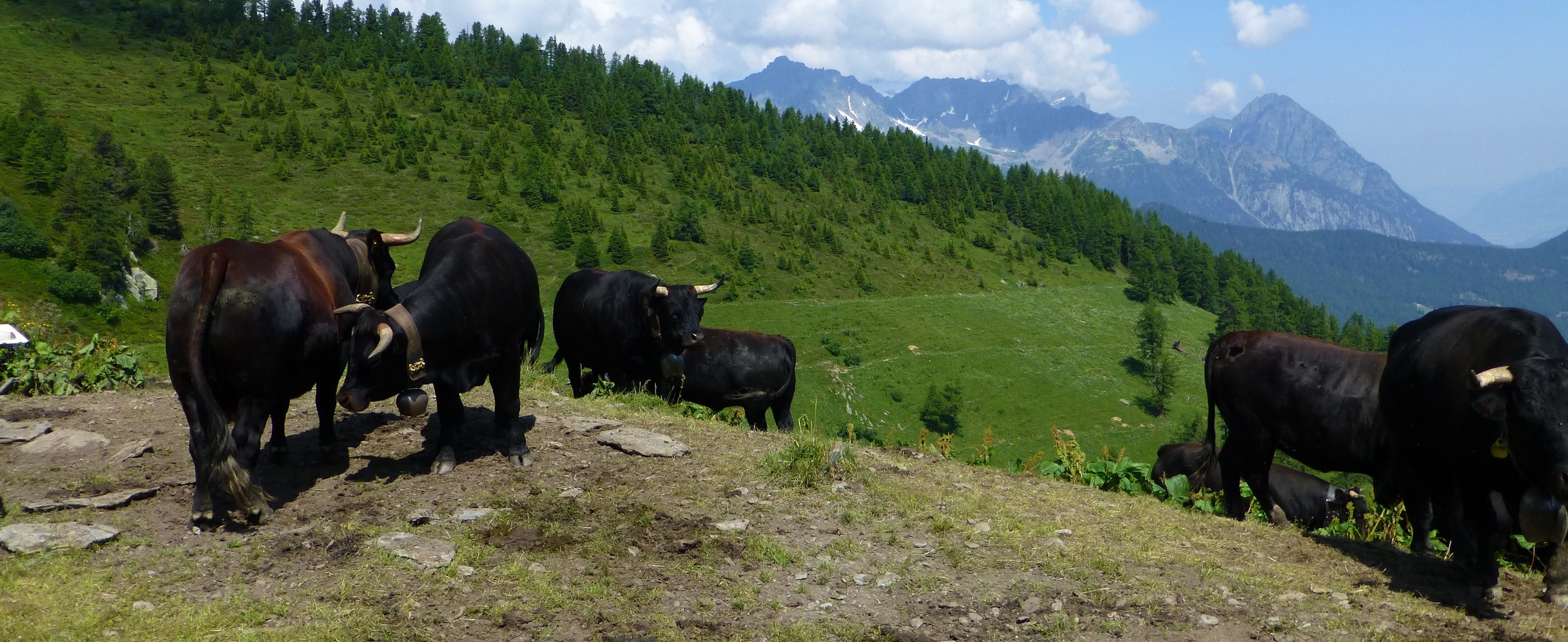 7-day Tour du Mont Blanc