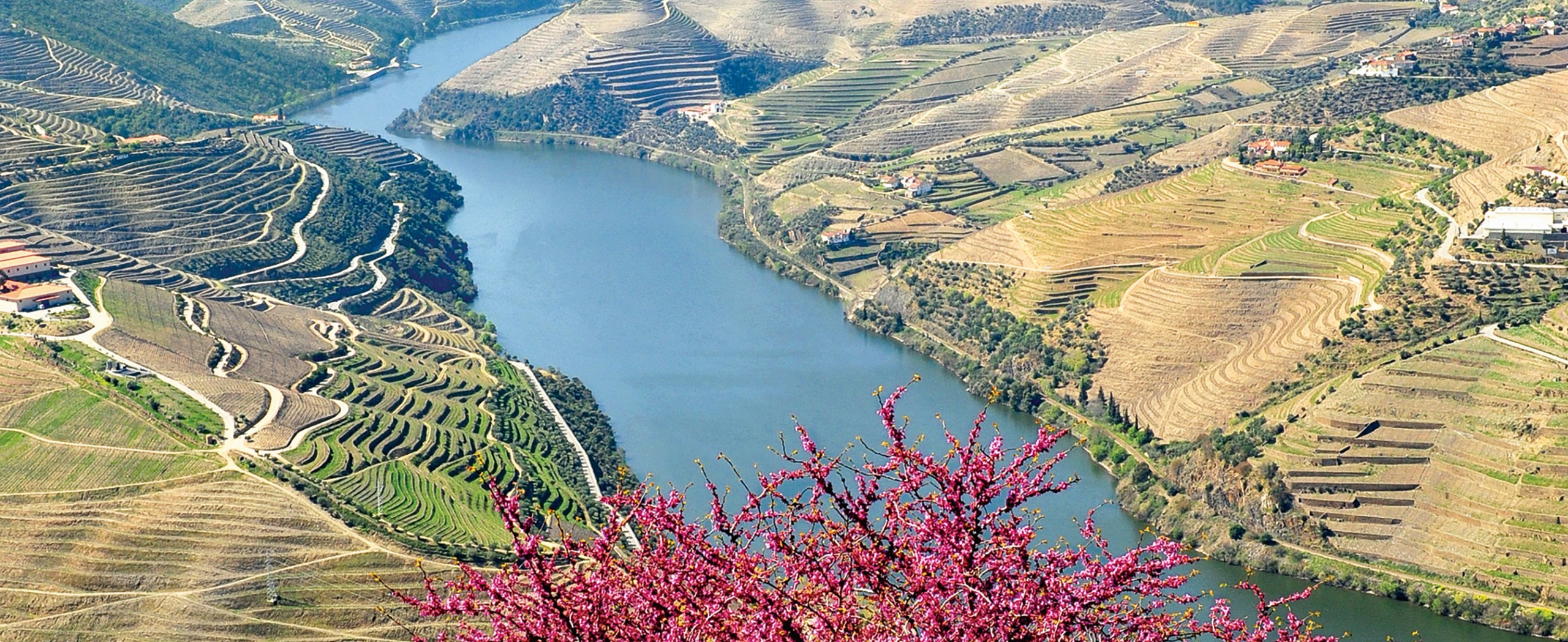 Douro River E-Bike Cruise