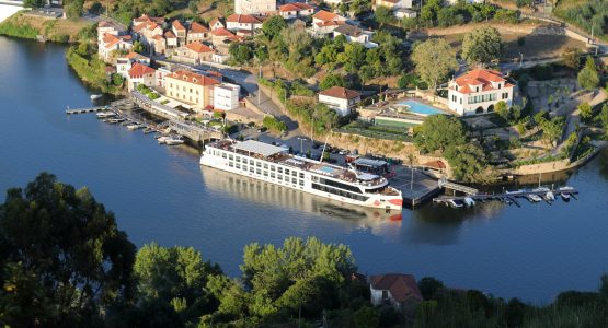 Douro River E-Bike Cruise