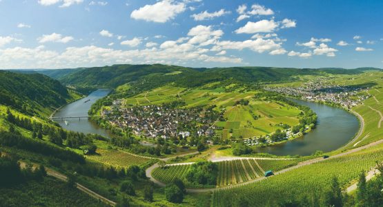 6-day Moselle River Bike Tour
