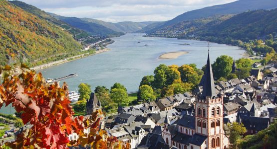 Self-Guided Rhine River Bike Tour