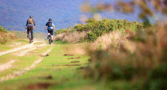 Isle of Wight Cycling Tour