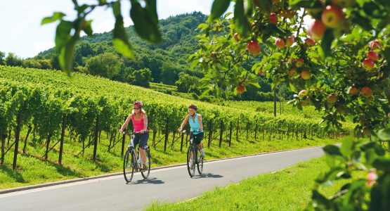 7-Day Moselle River Bike Tour