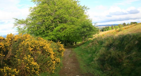 John Muir Way Walking Tour