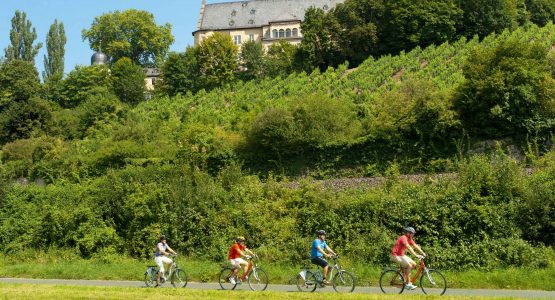 Main River Bike Tour: Würzburg to Frankfurt