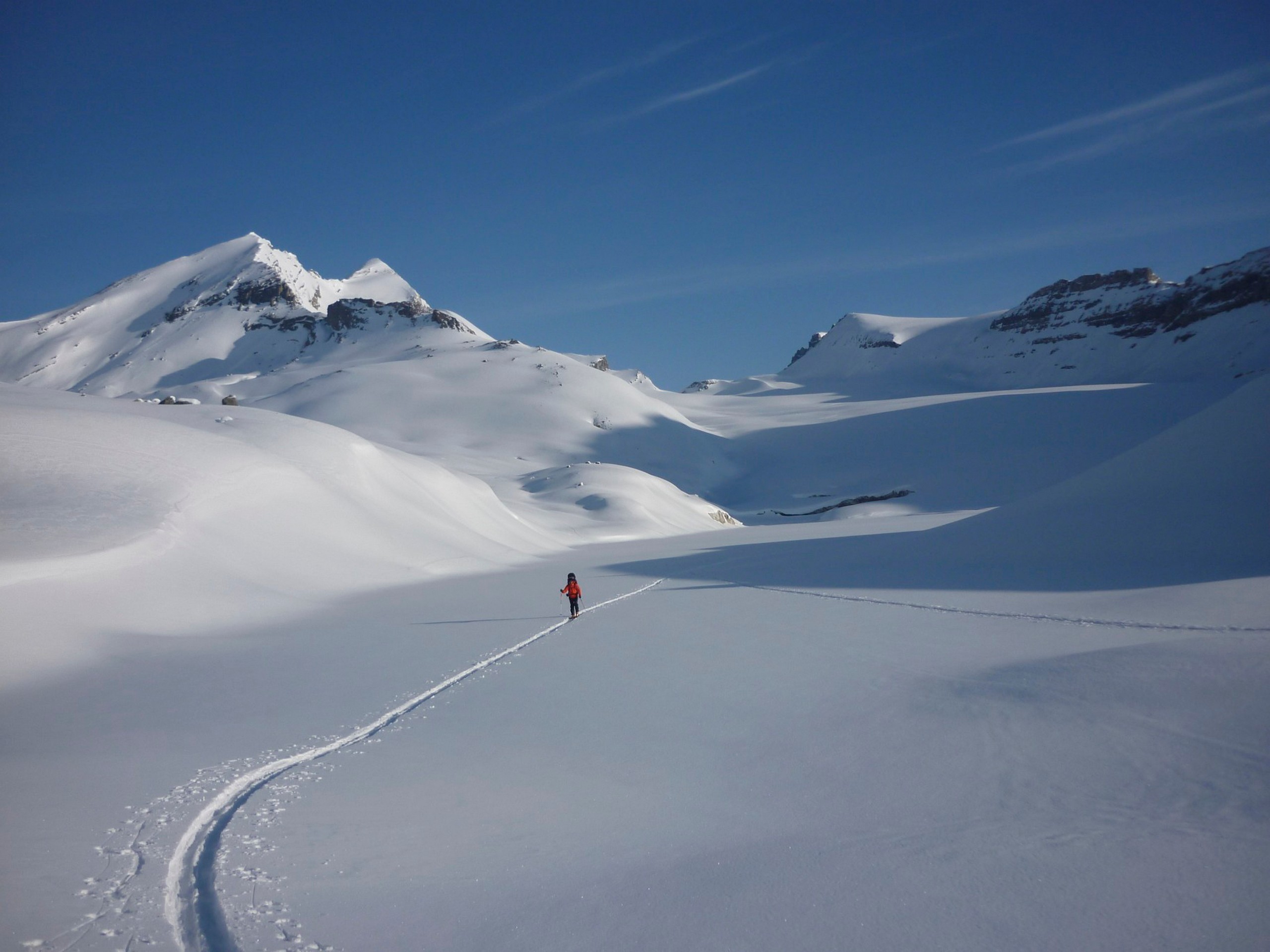 Wapta Icefield during the winter