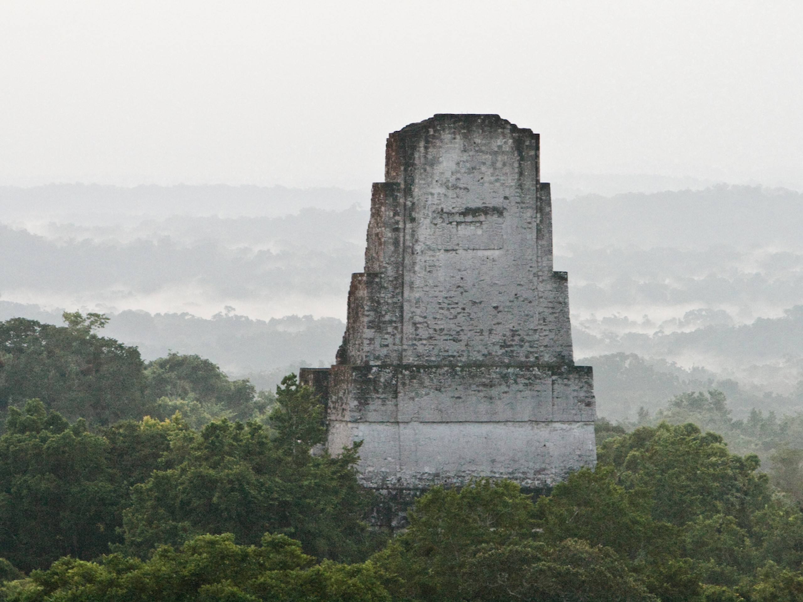 Tikal-Jungle-Temple
