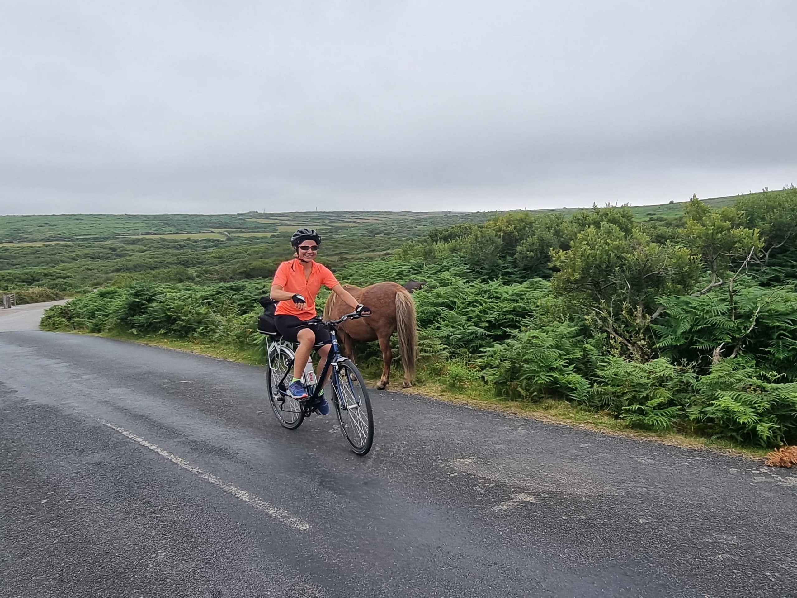 Self-Guided Cycling Tour in Cornwall 12