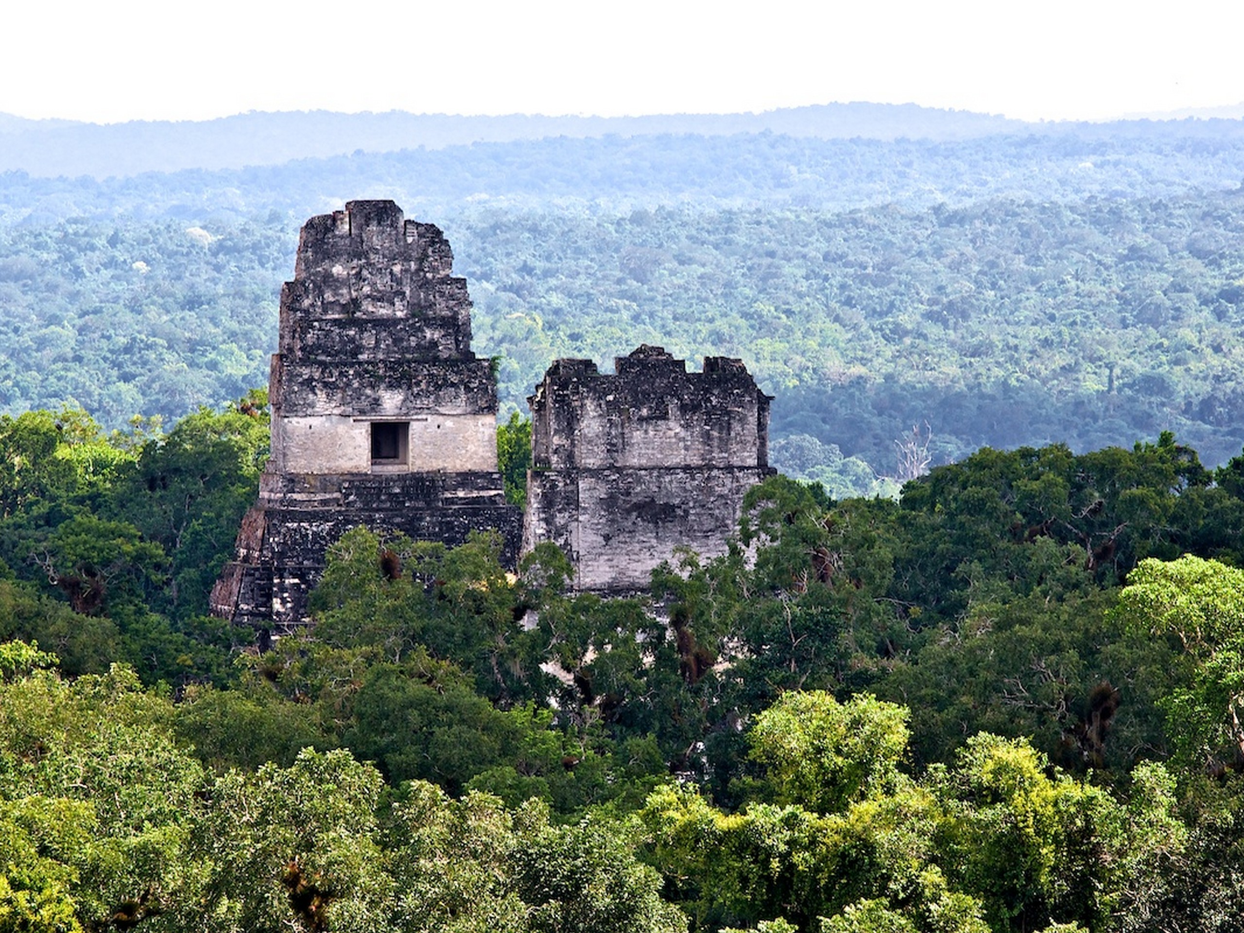 Tikal-Mayan-Ruins-Peten