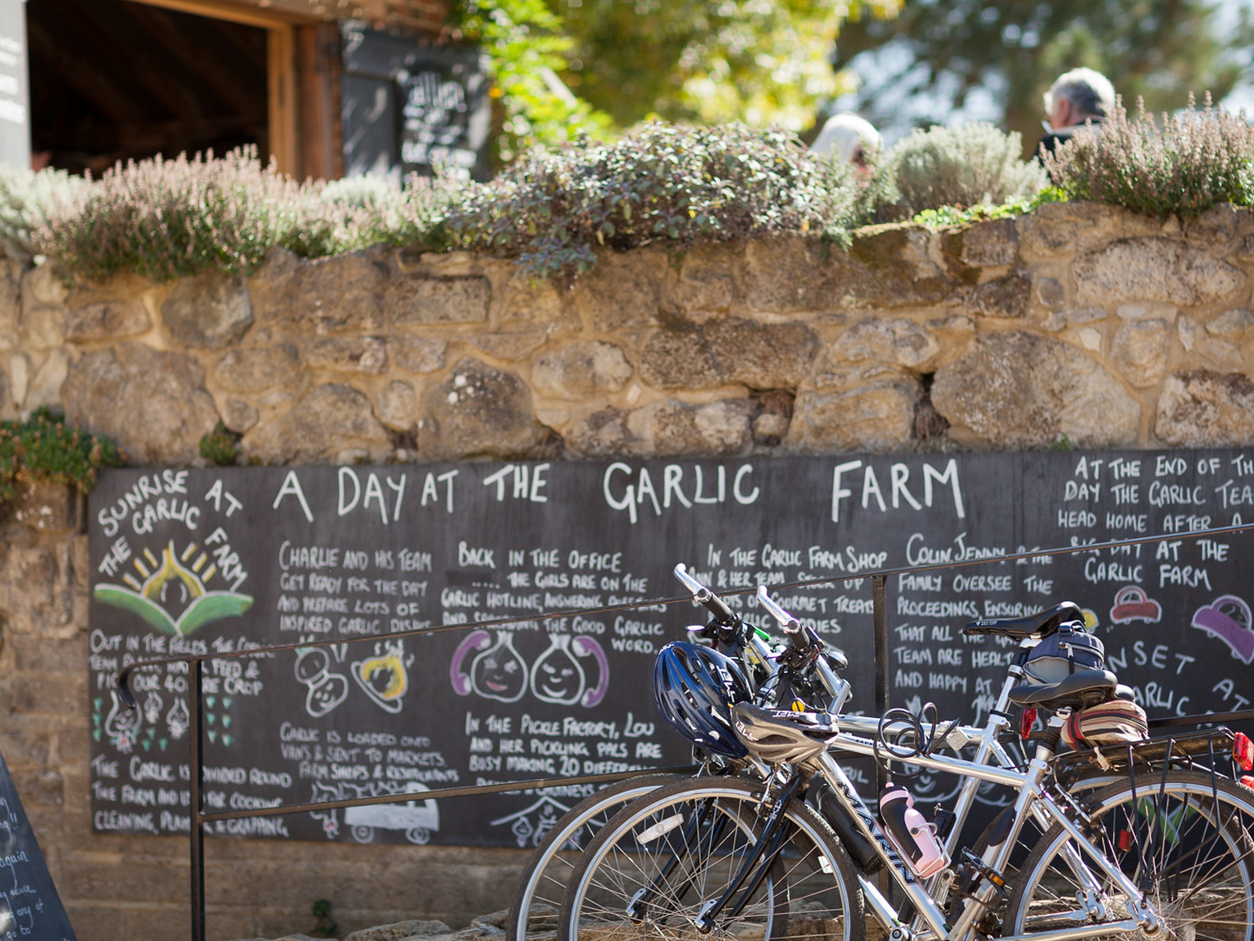 (c)visitisleofwight.co.uk - Garlic Farm