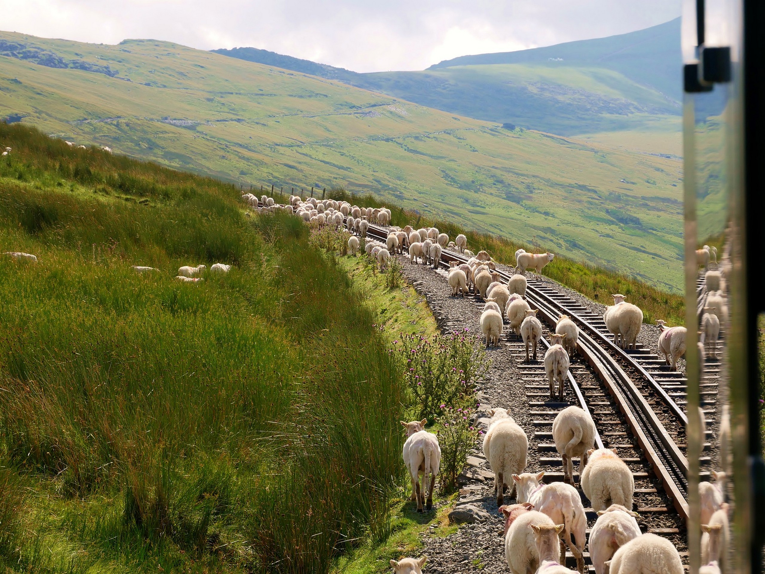Railway in Snowdonia