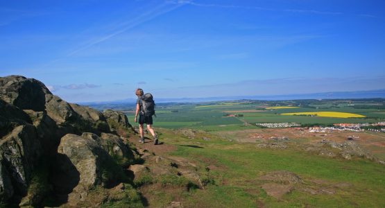 Green pastures of Scotland