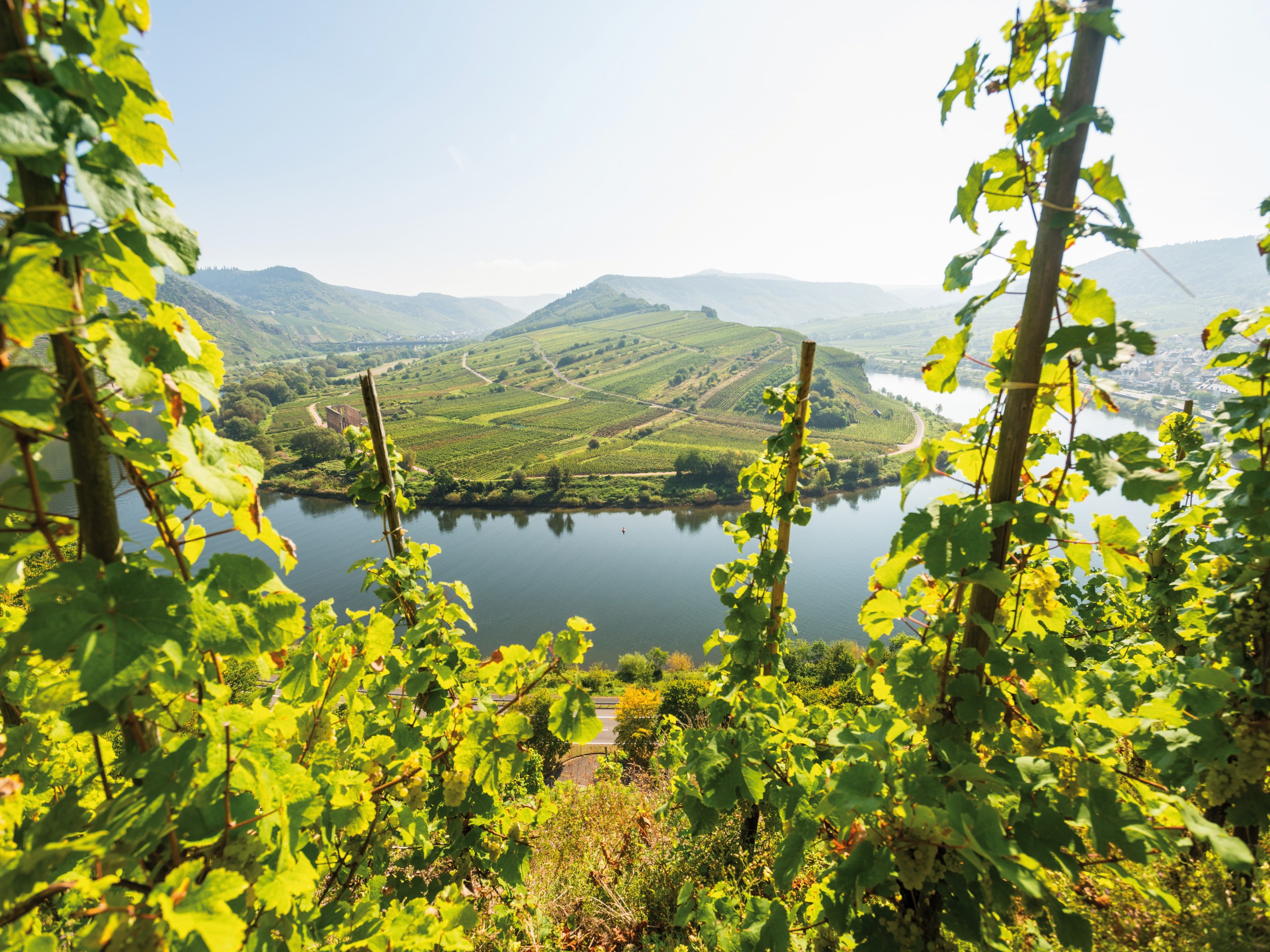 Looking at the Moselle river brom the above