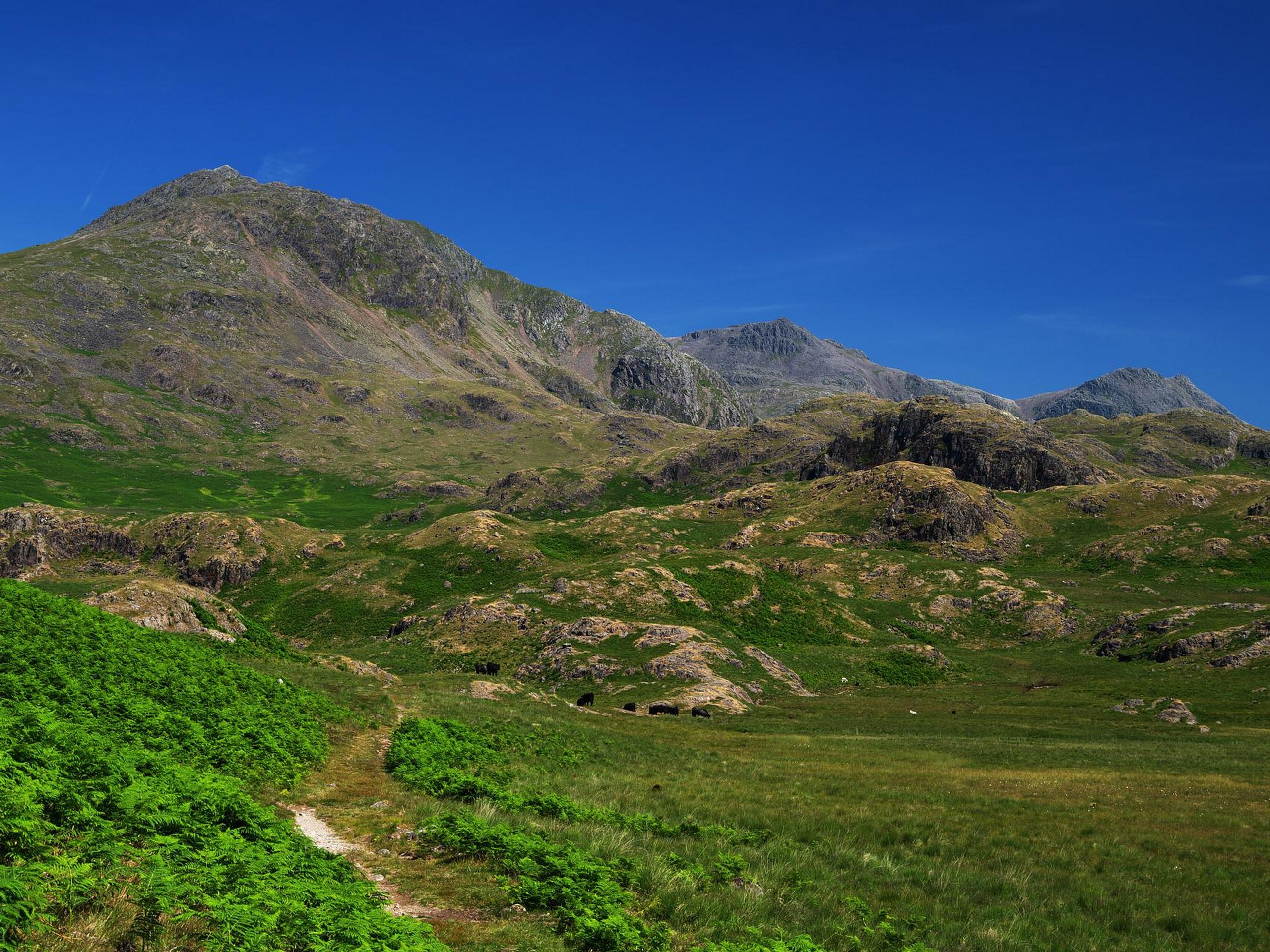 Scafell Eskdale