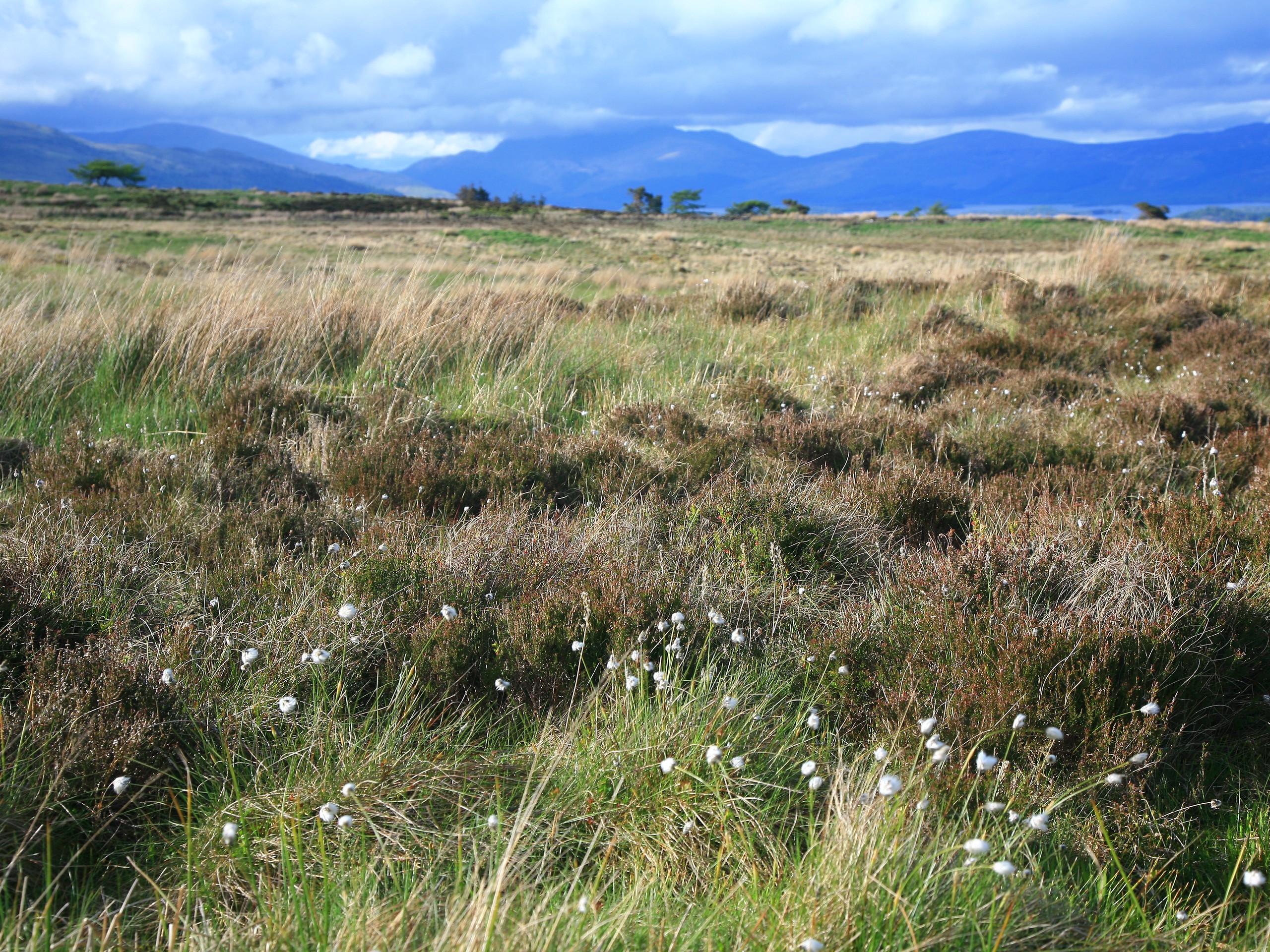 Meadows and moores along the John Muir trail in Scotland